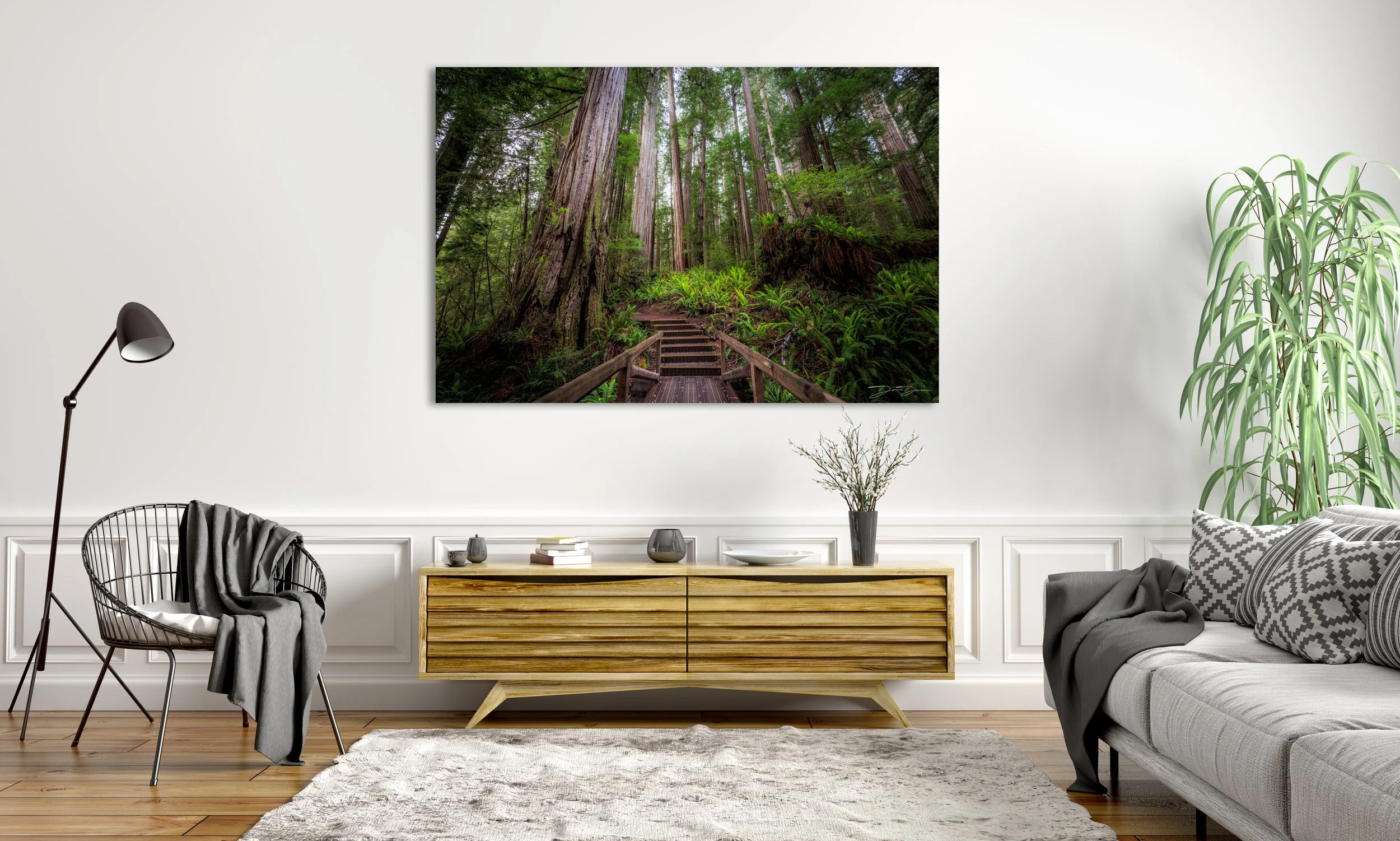 A Walk Through The Woods Wall Mockups.jpg