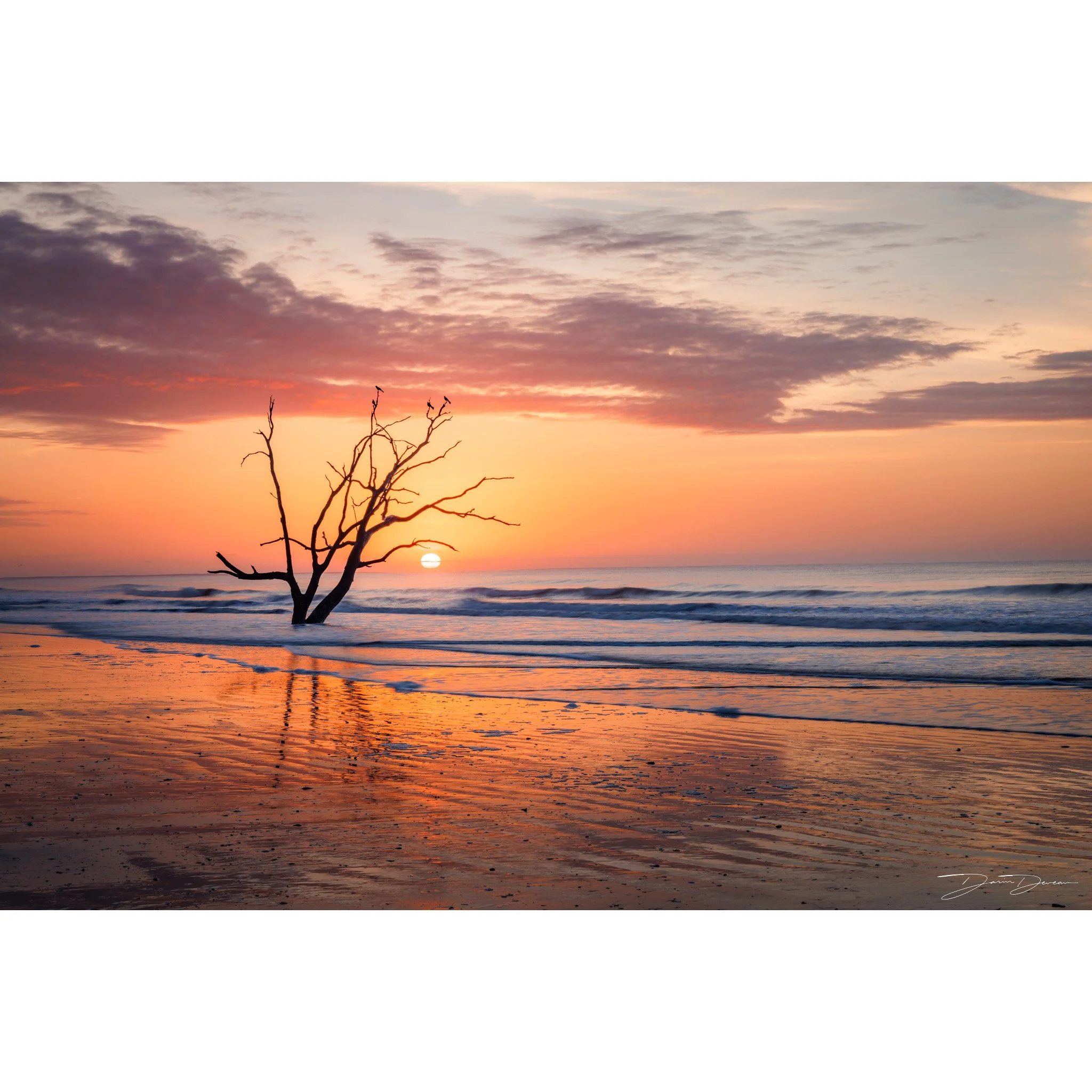 Edisto Sunrise.jpg