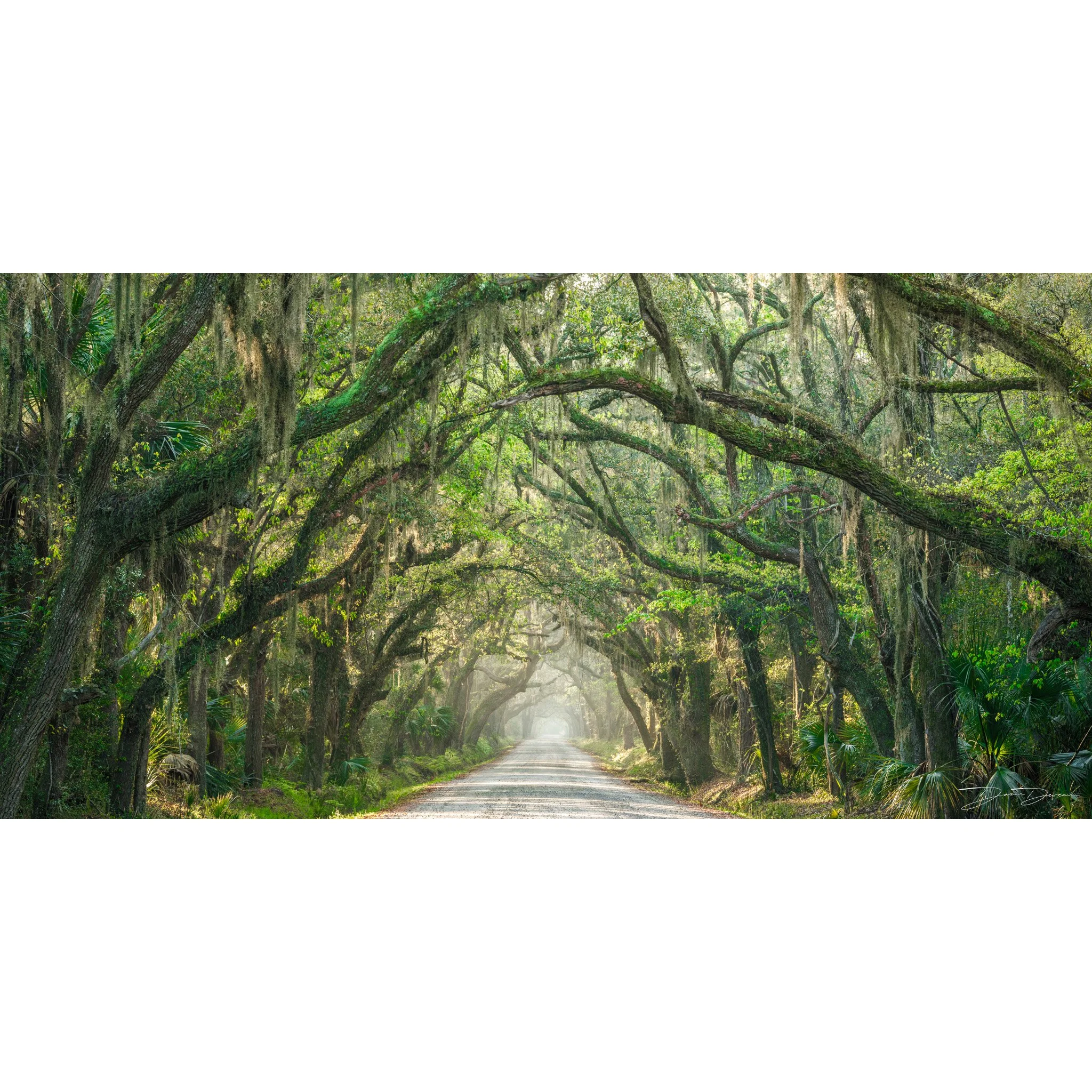 Edisto Tunnel