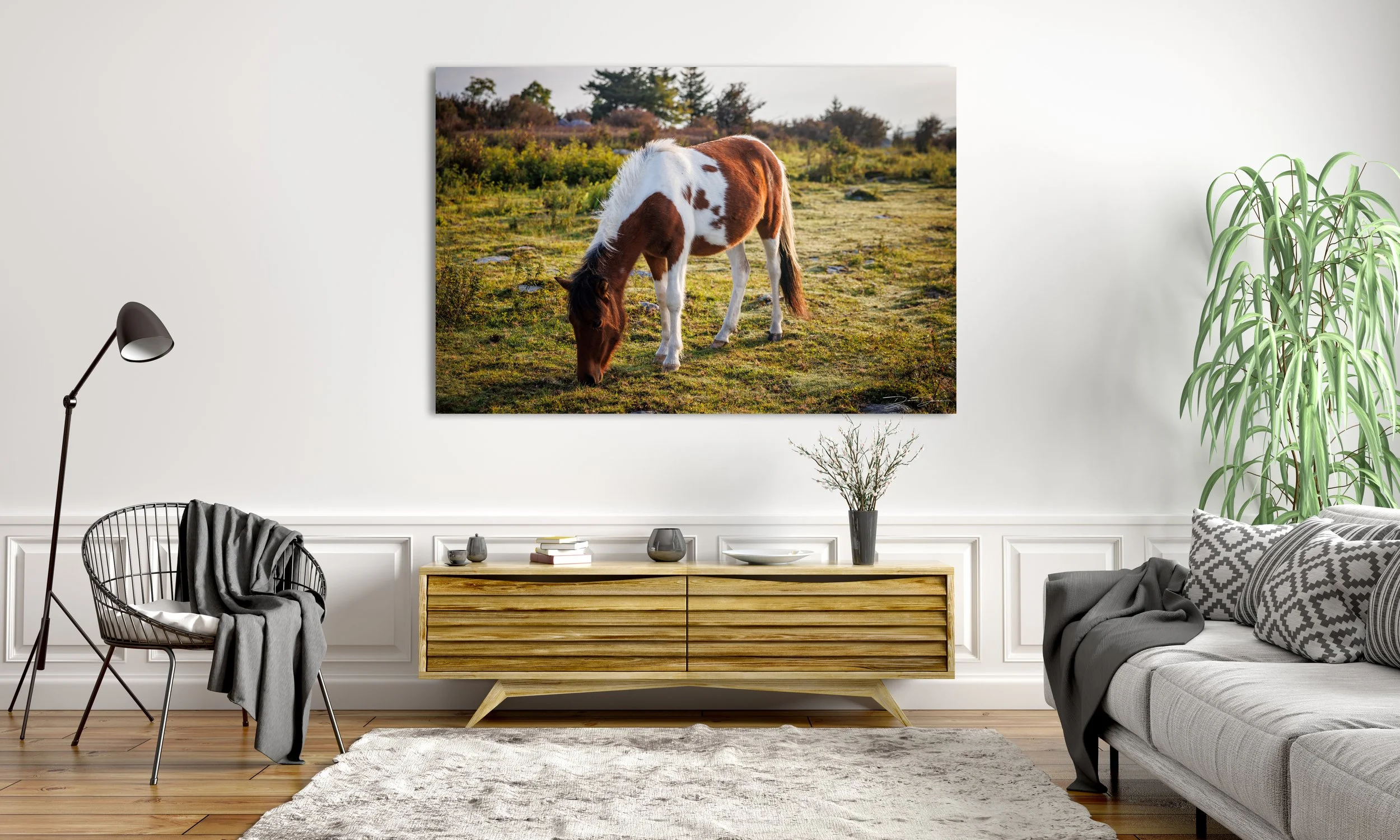 Grayson Horse 1.jpg