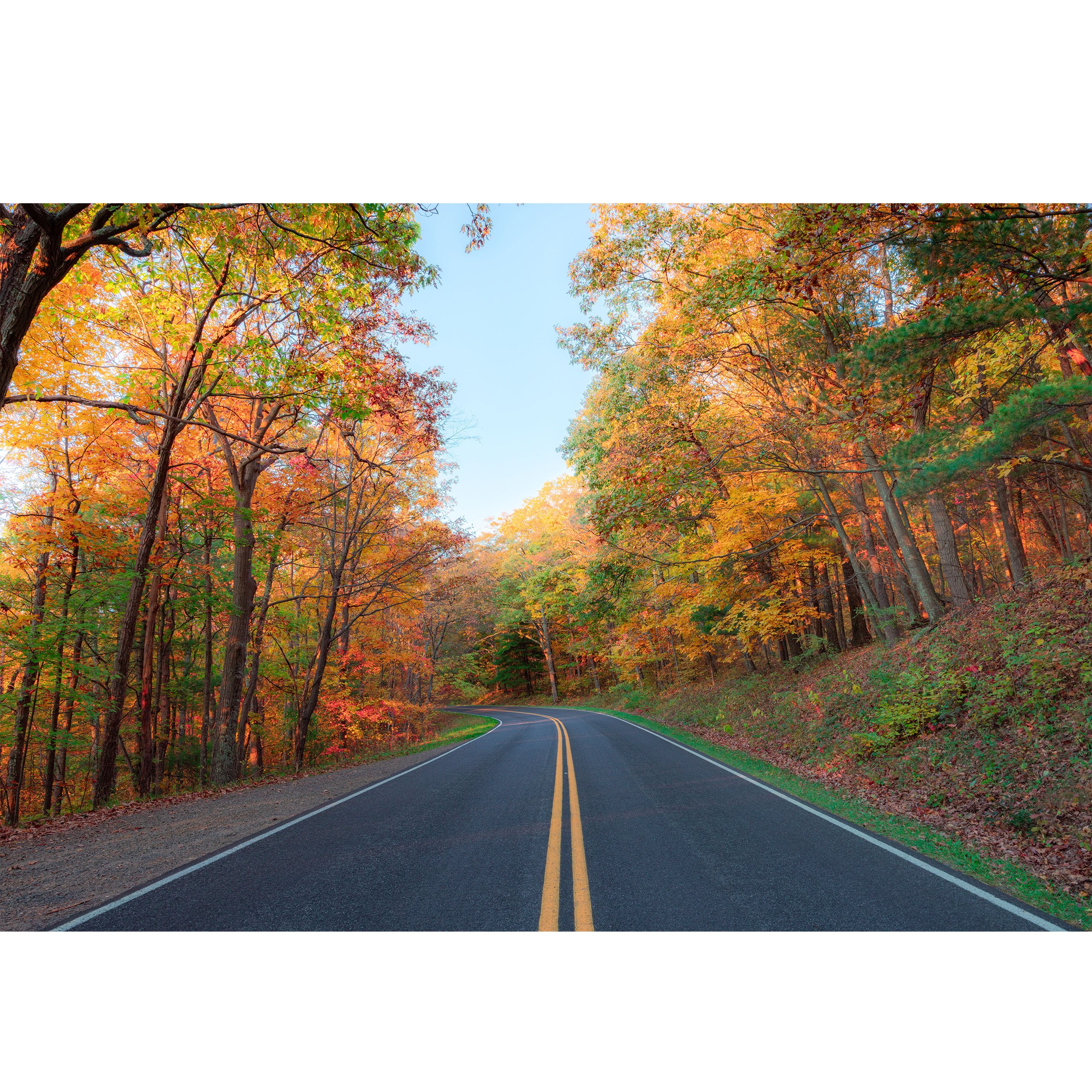 Down the Road