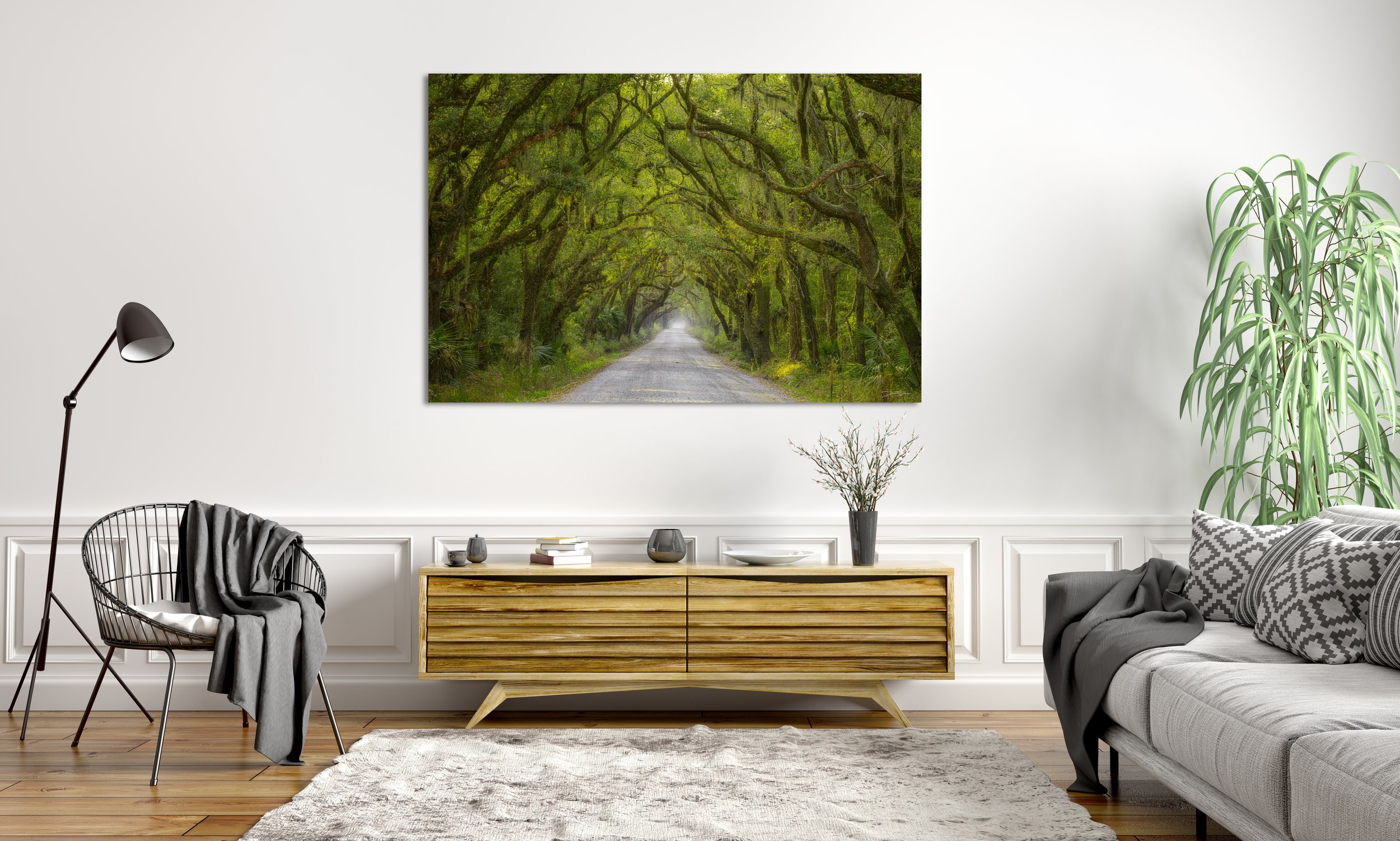 Botany Bay Tree Tunnel.jpg