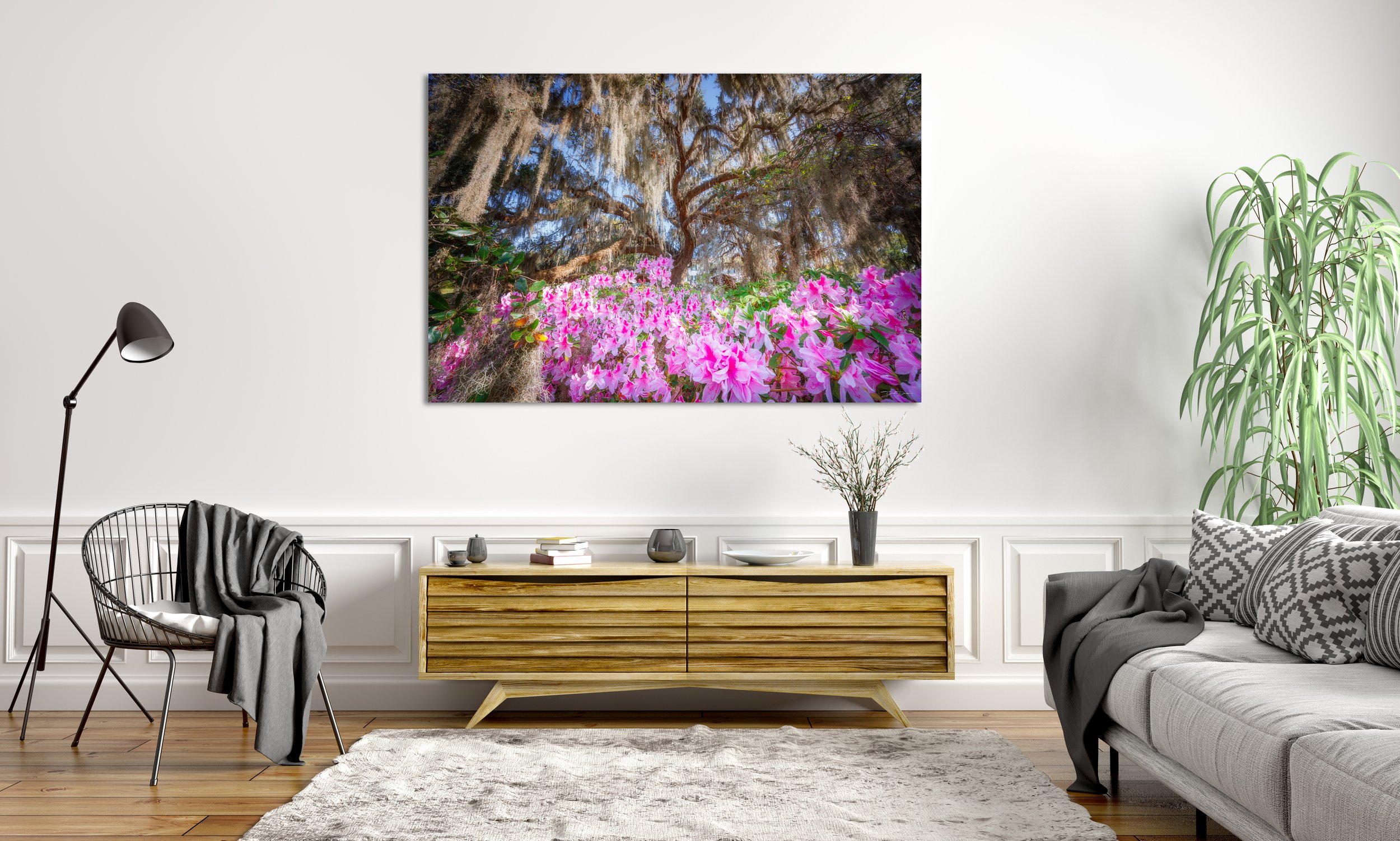Angelic Azaleas.jpg