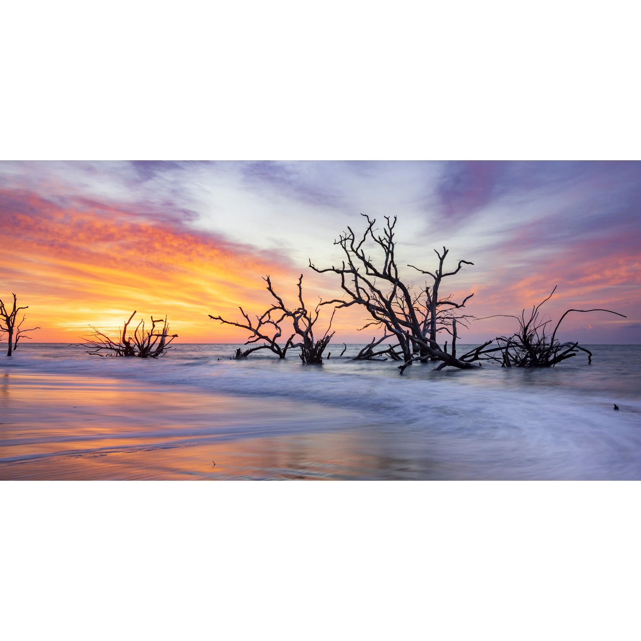 Botany Bay Sunrise Panorama Square.jpg