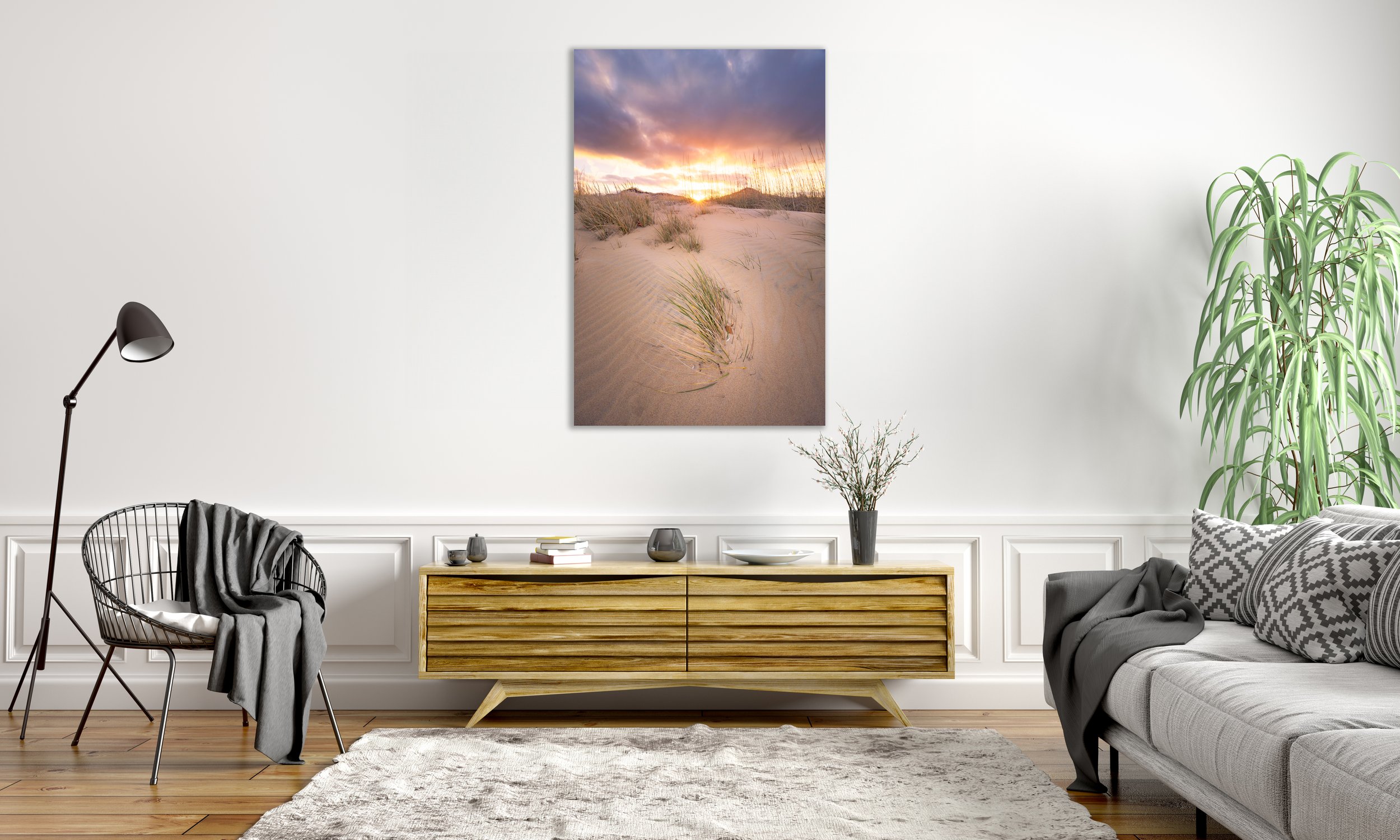 Back Bay Dunes.jpg