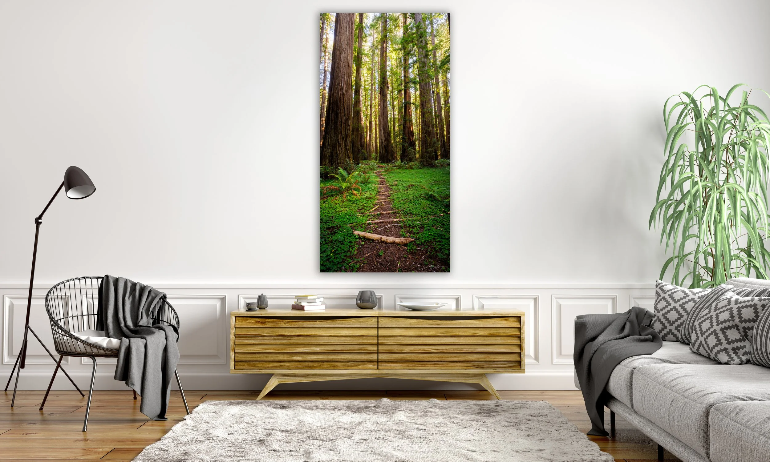 Redwoods Pathway.jpg