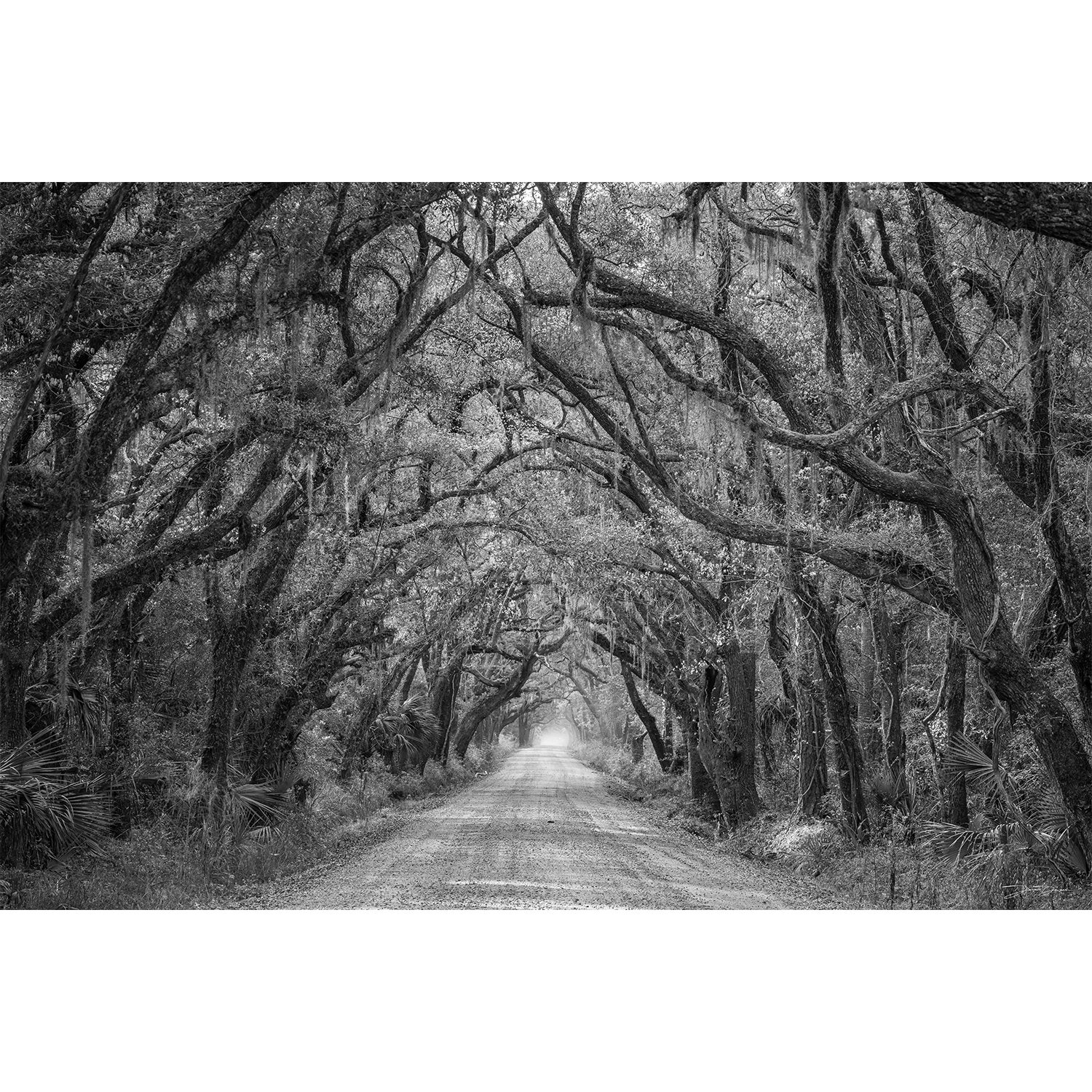 Botany Bay Black and White.jpg