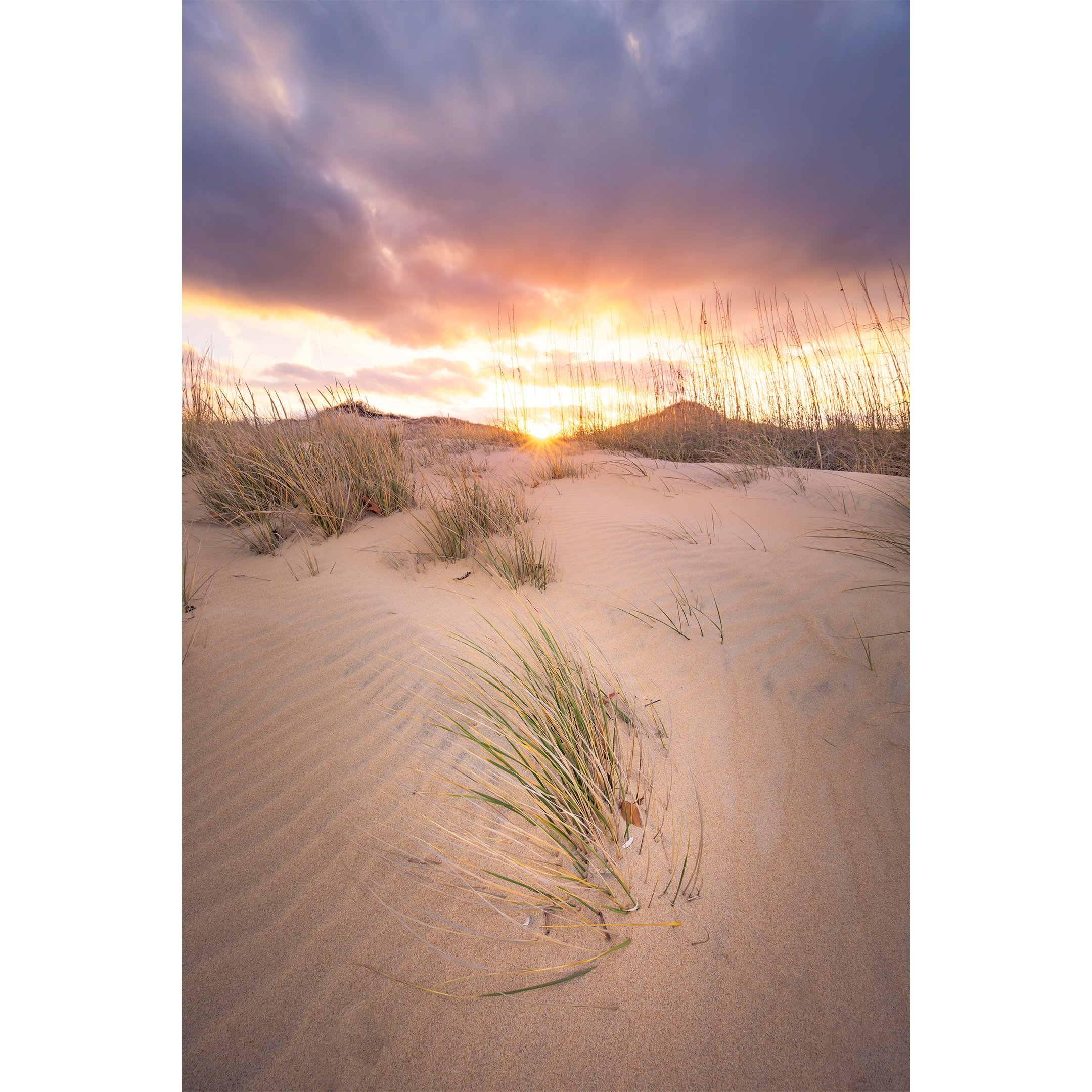 Back Bay Dunes.jpg