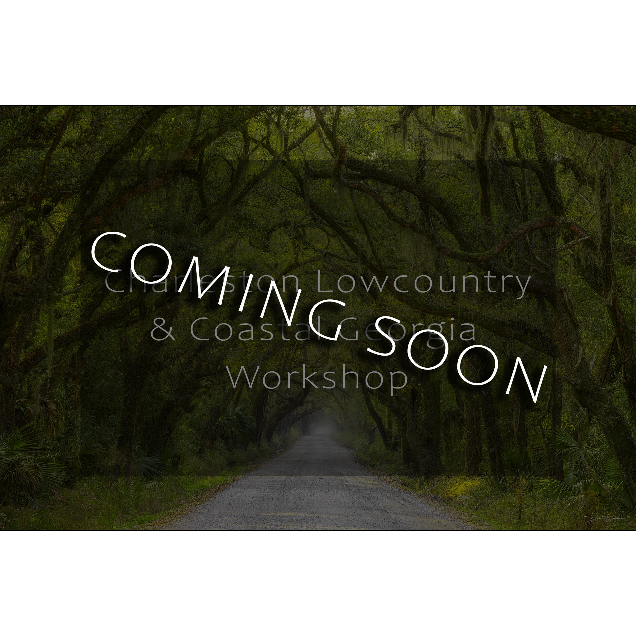 SC + GA workshop.png