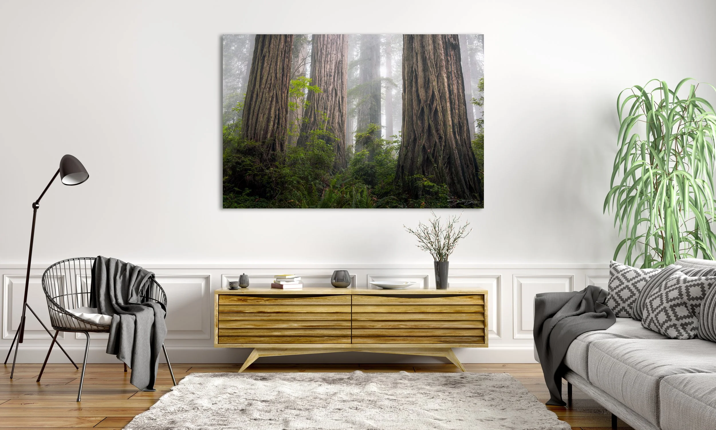 Foggy Redwoods.jpg