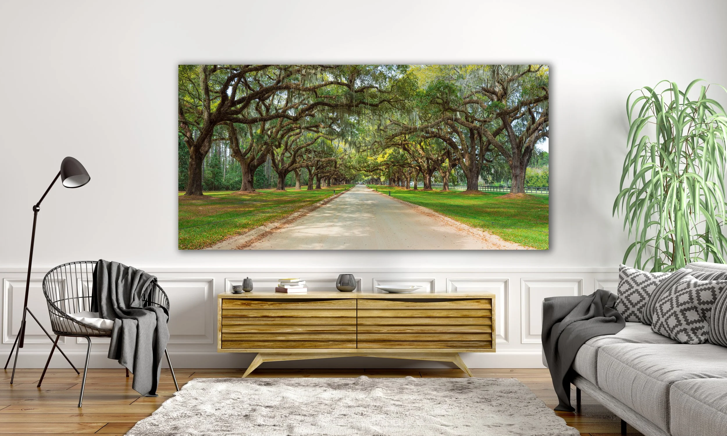 Boone Hall Tunnel Panorama Wall.jpg