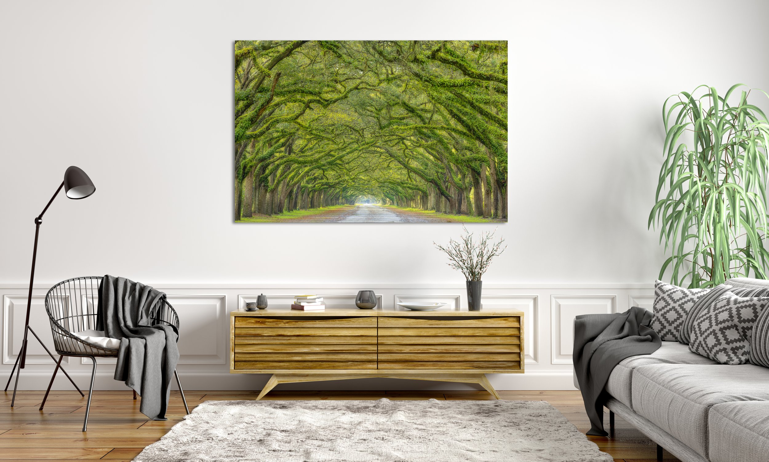 Wormsole Tree Tunnel.jpg