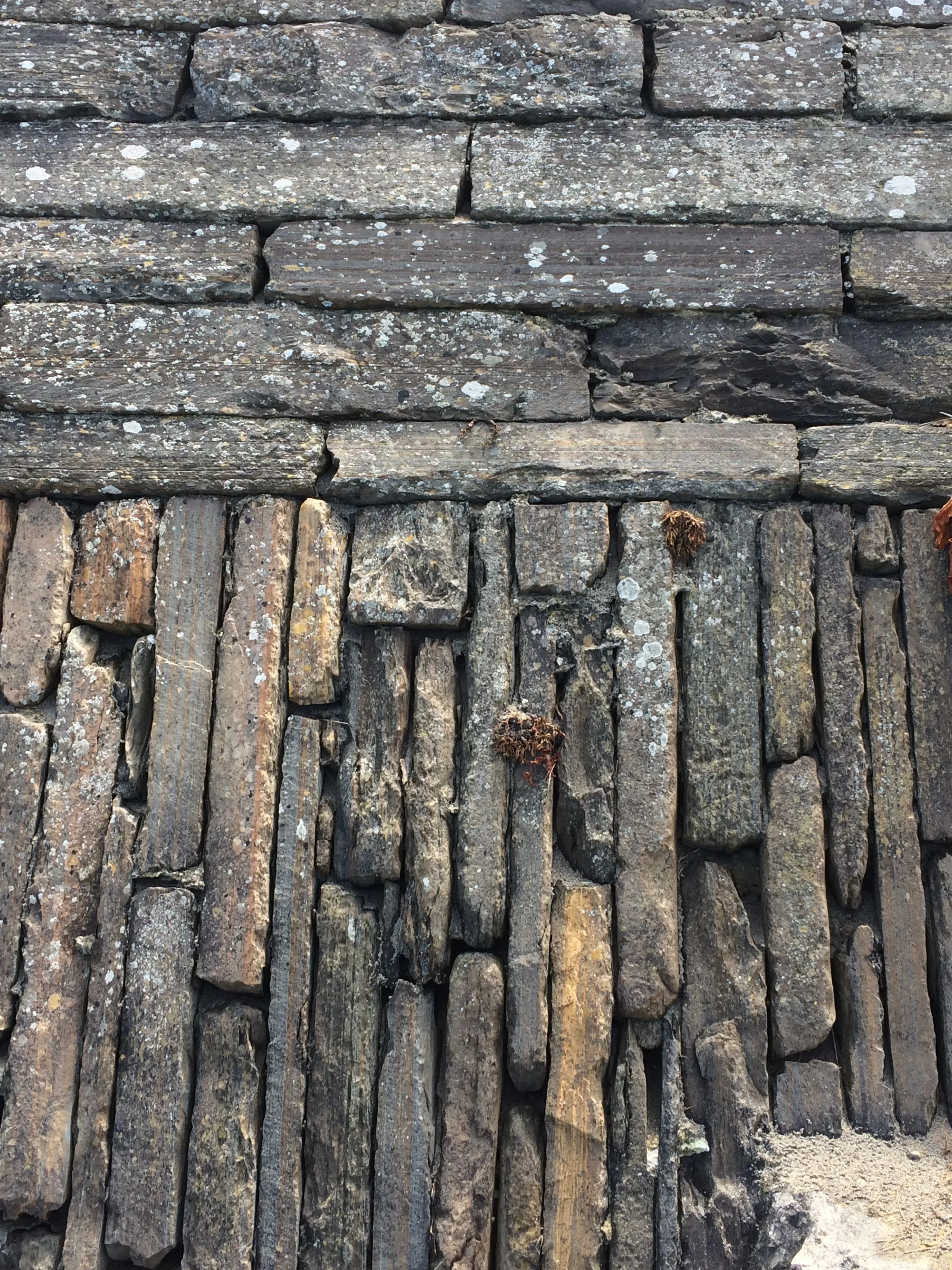 Expertise — Lifting Rocks