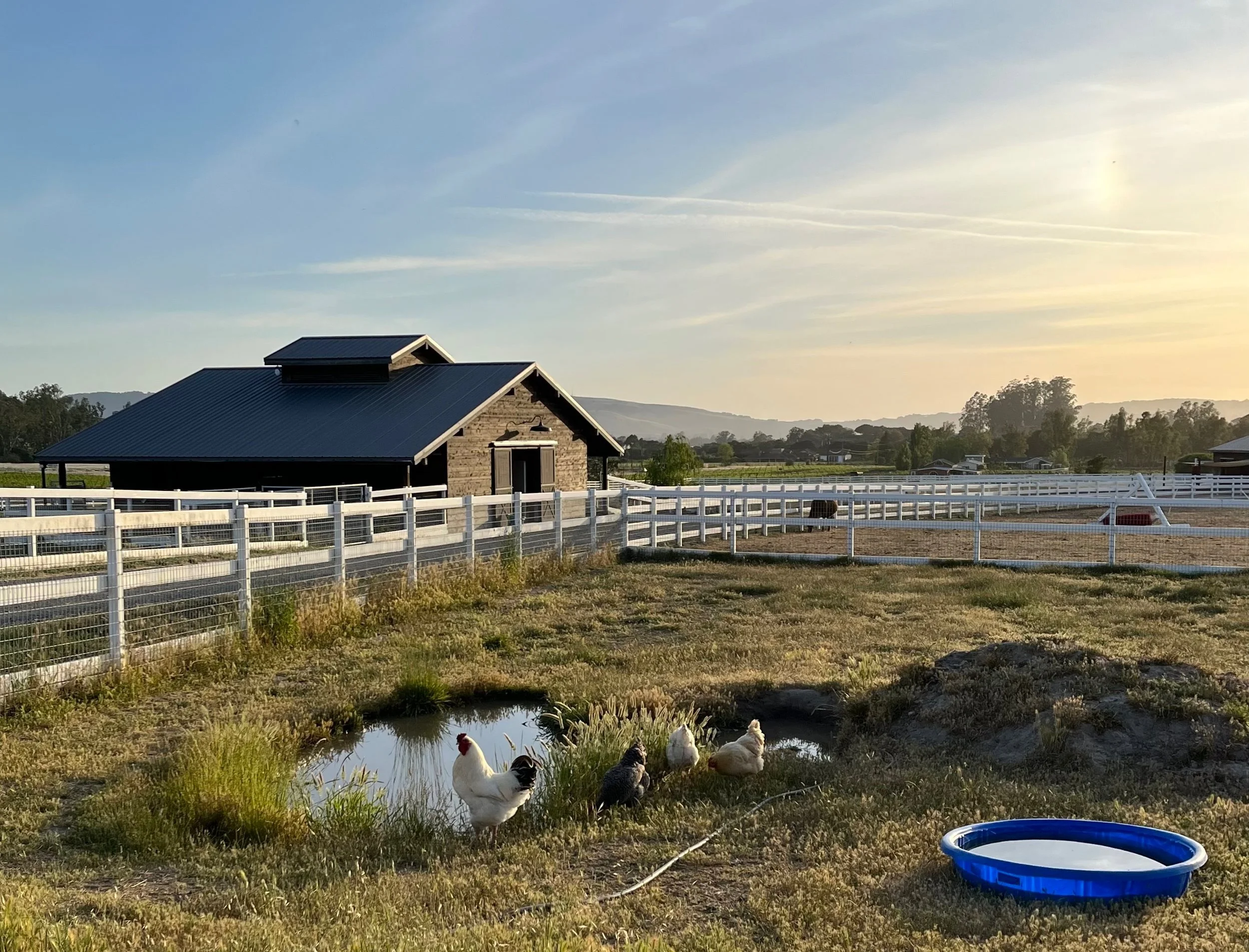 Animal Sanctuaries — Vegan Sonoma