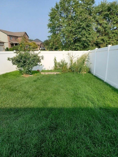 grass10.jpg