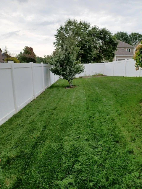 grass11.jpg