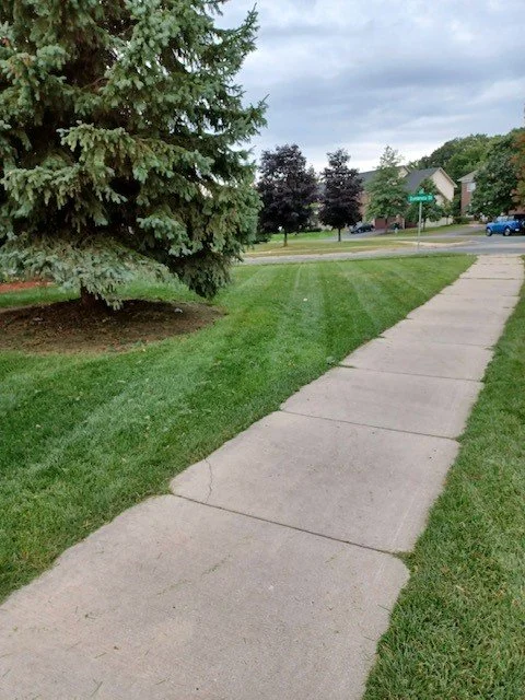 grass12.jpg