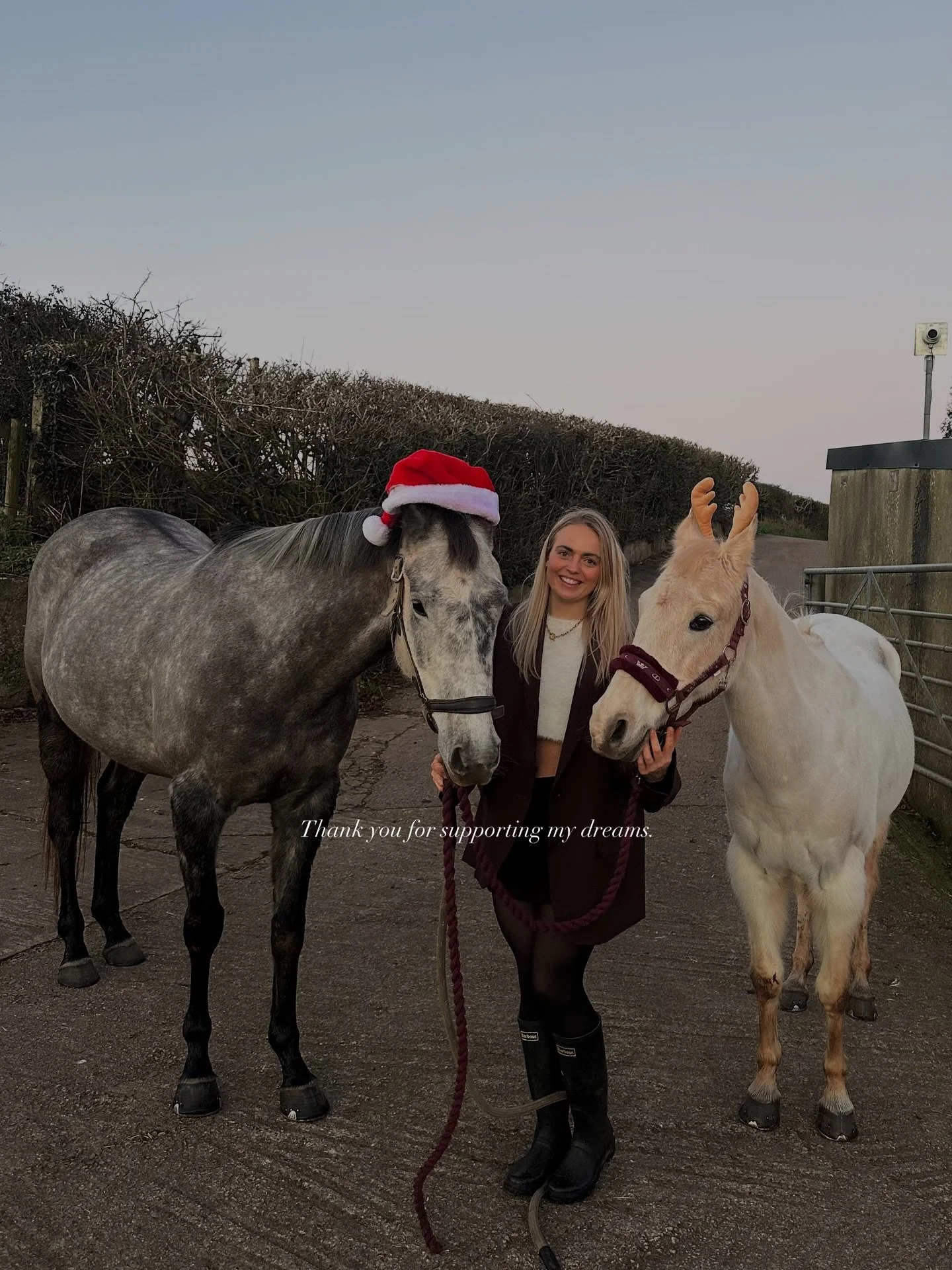 Merry Christmas from the ponies 🤍🤎🤎

I&rsquo;m so thankful to everyone who&rsquo;s supported me this year. To all my clients, past and present- thank you for trusting me and backing something that means so much to me. 🫶🏻

Feeling so grateful for