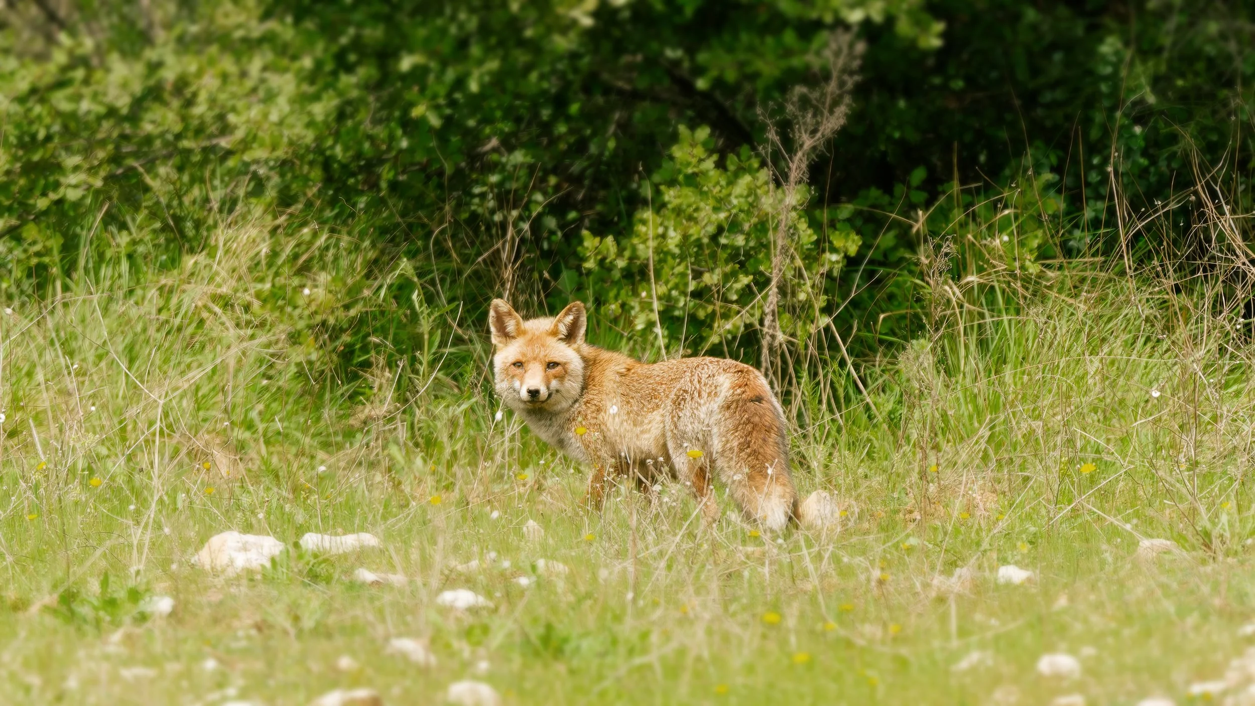 Le triangle d’exposition pour débuter
