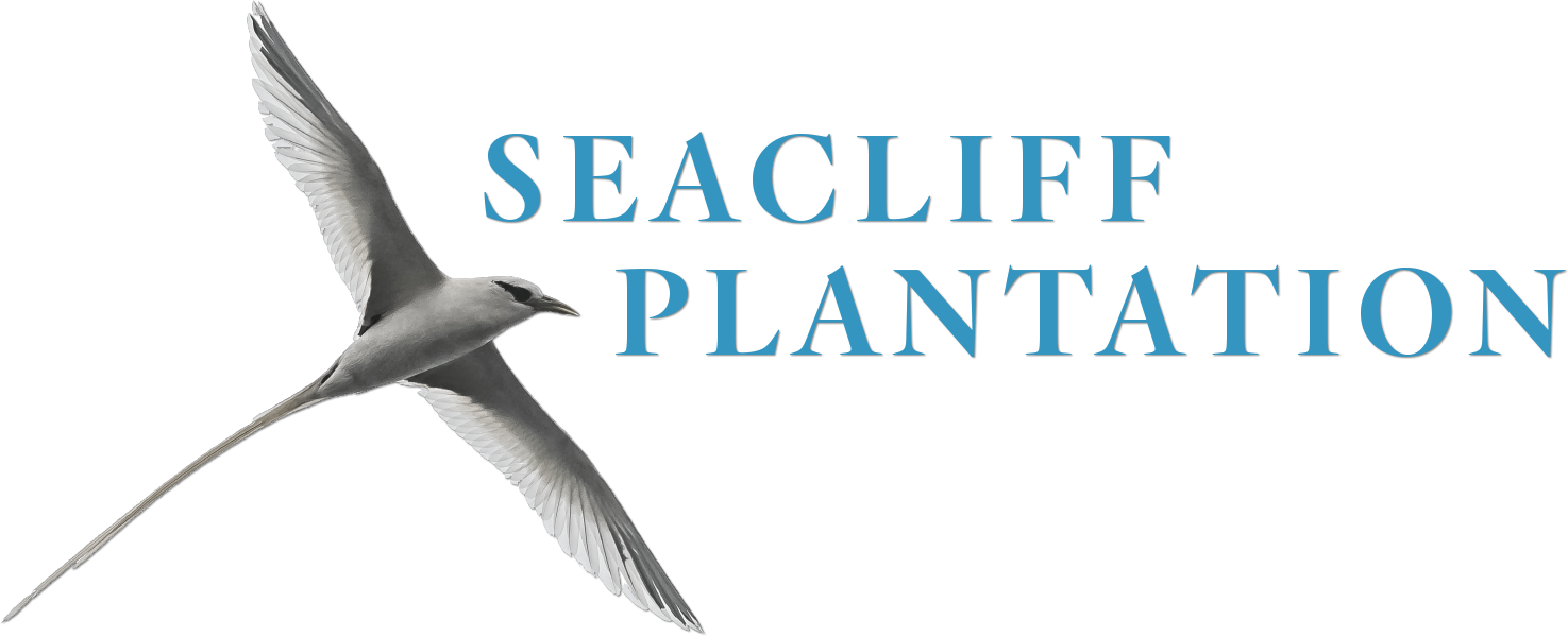 Seacliff Plantation