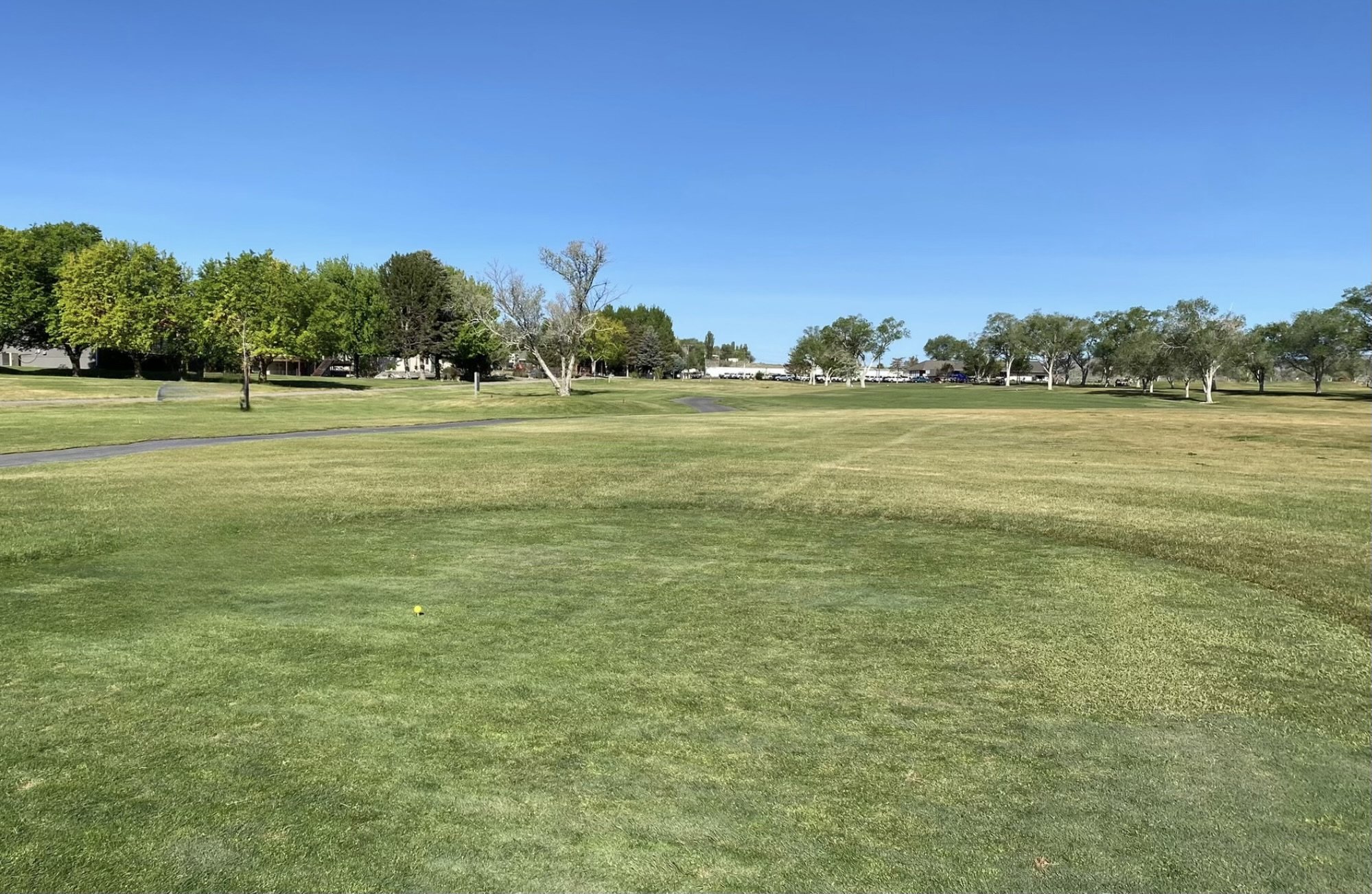 Ruby View Golf Course the Green