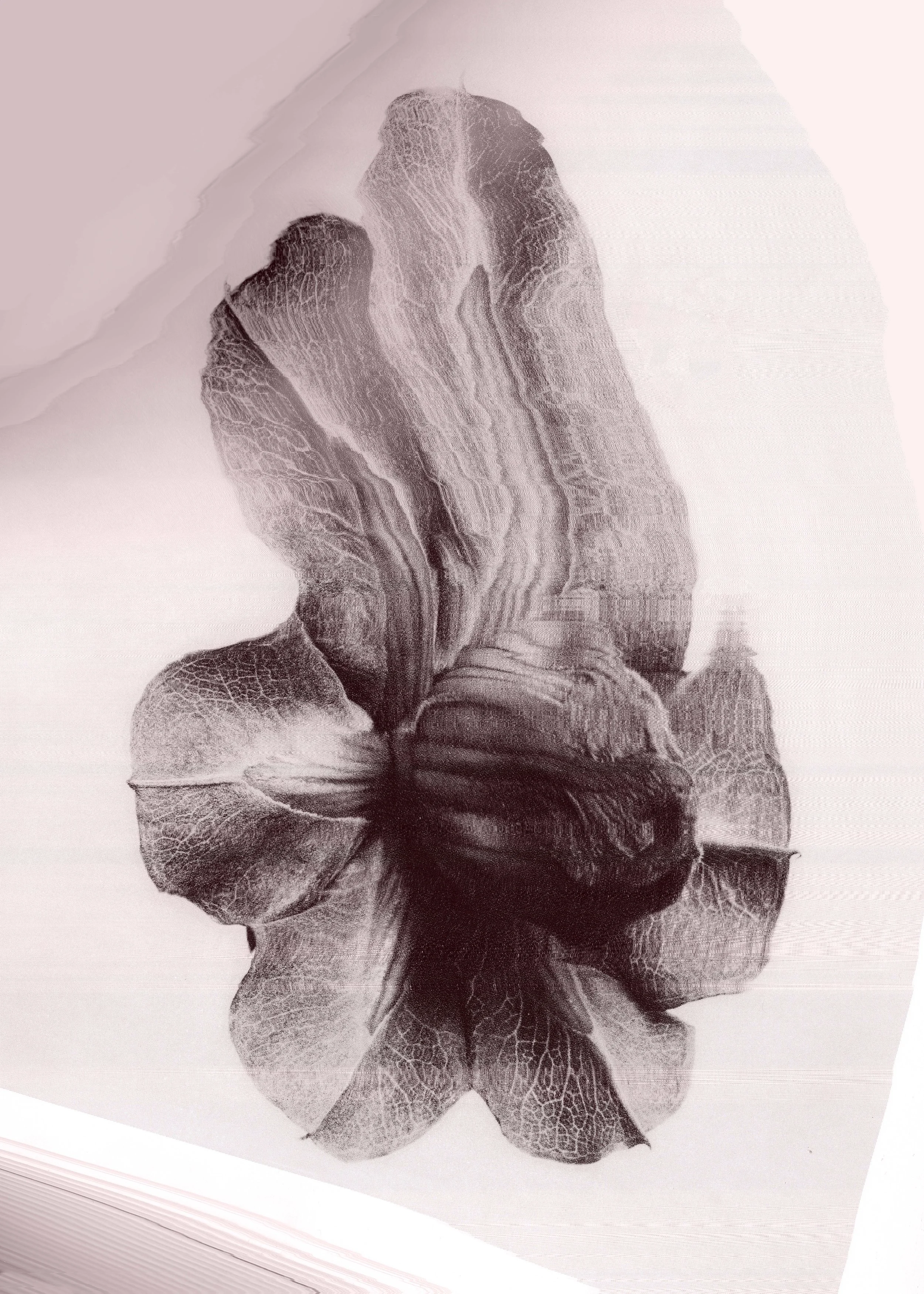 Rosa blomma
