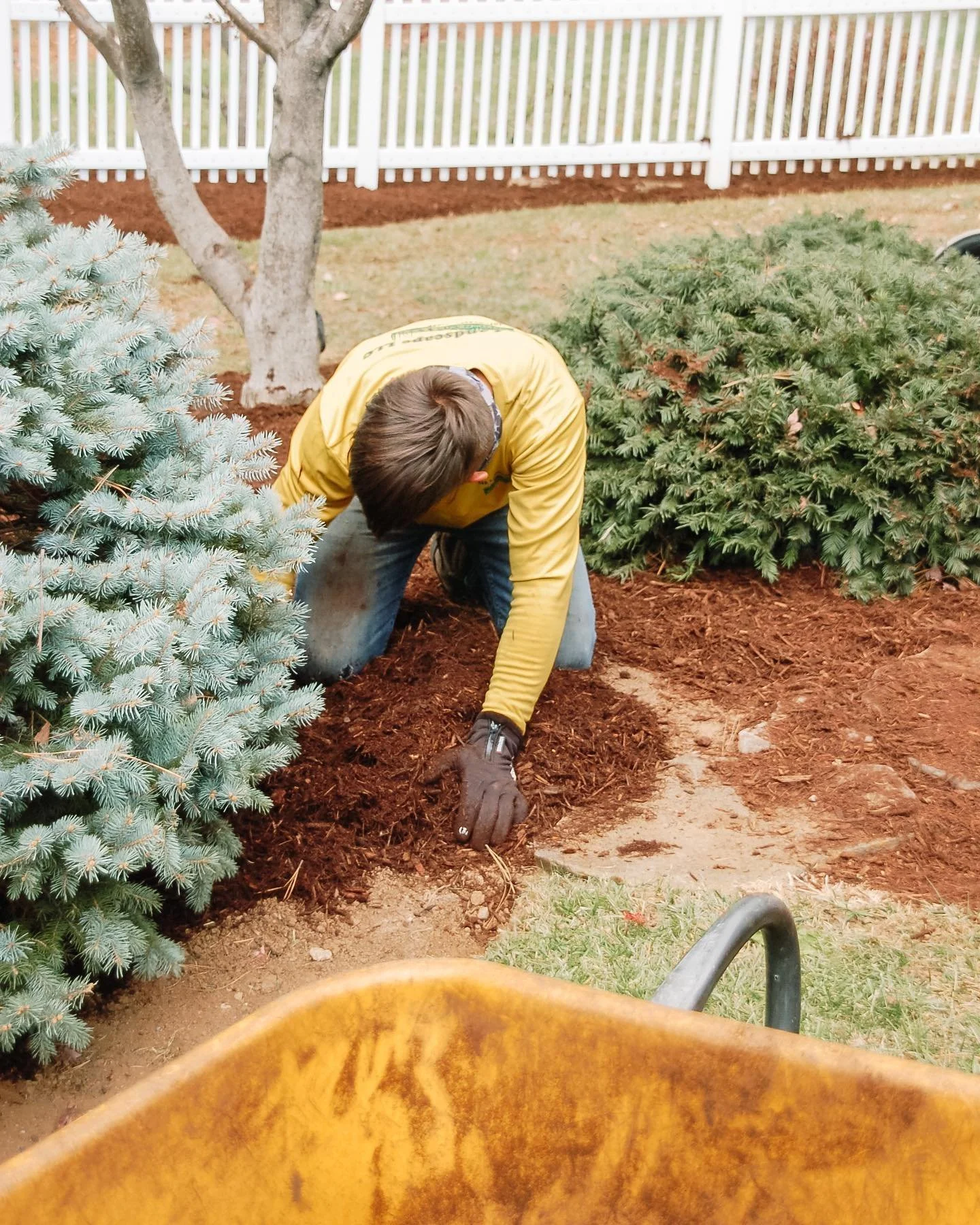 lawn services landscape design and services