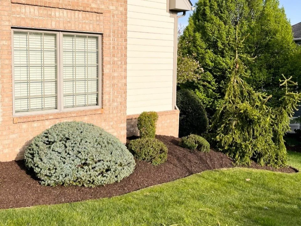 mulch, edging, and flower bed