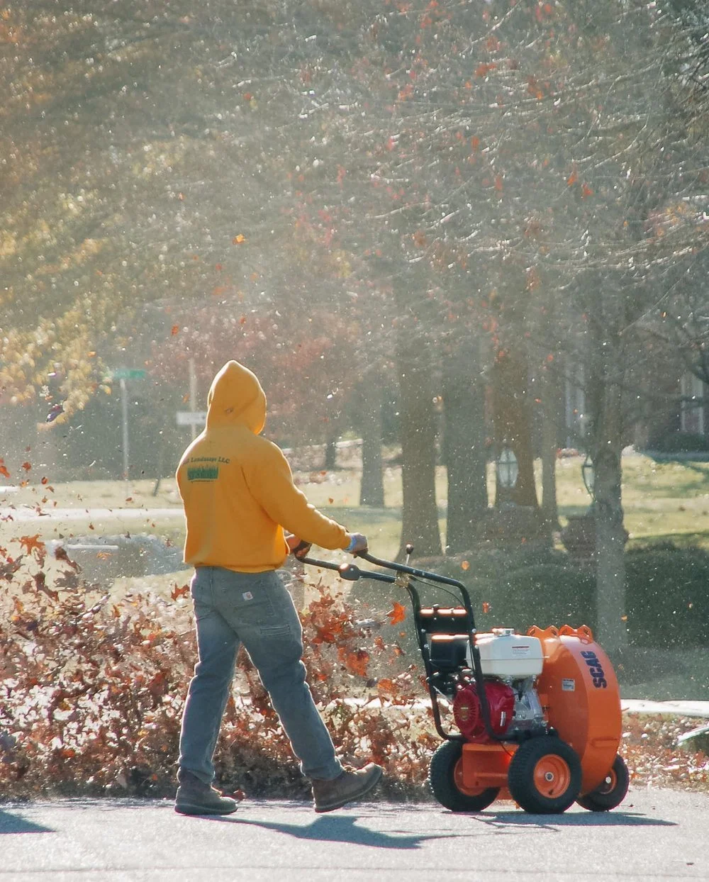 Leaf removal services Harrisonburg, Virginia