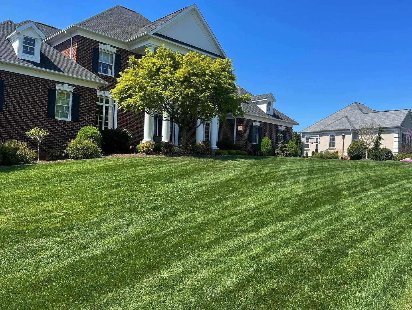 lawn mow landscape services