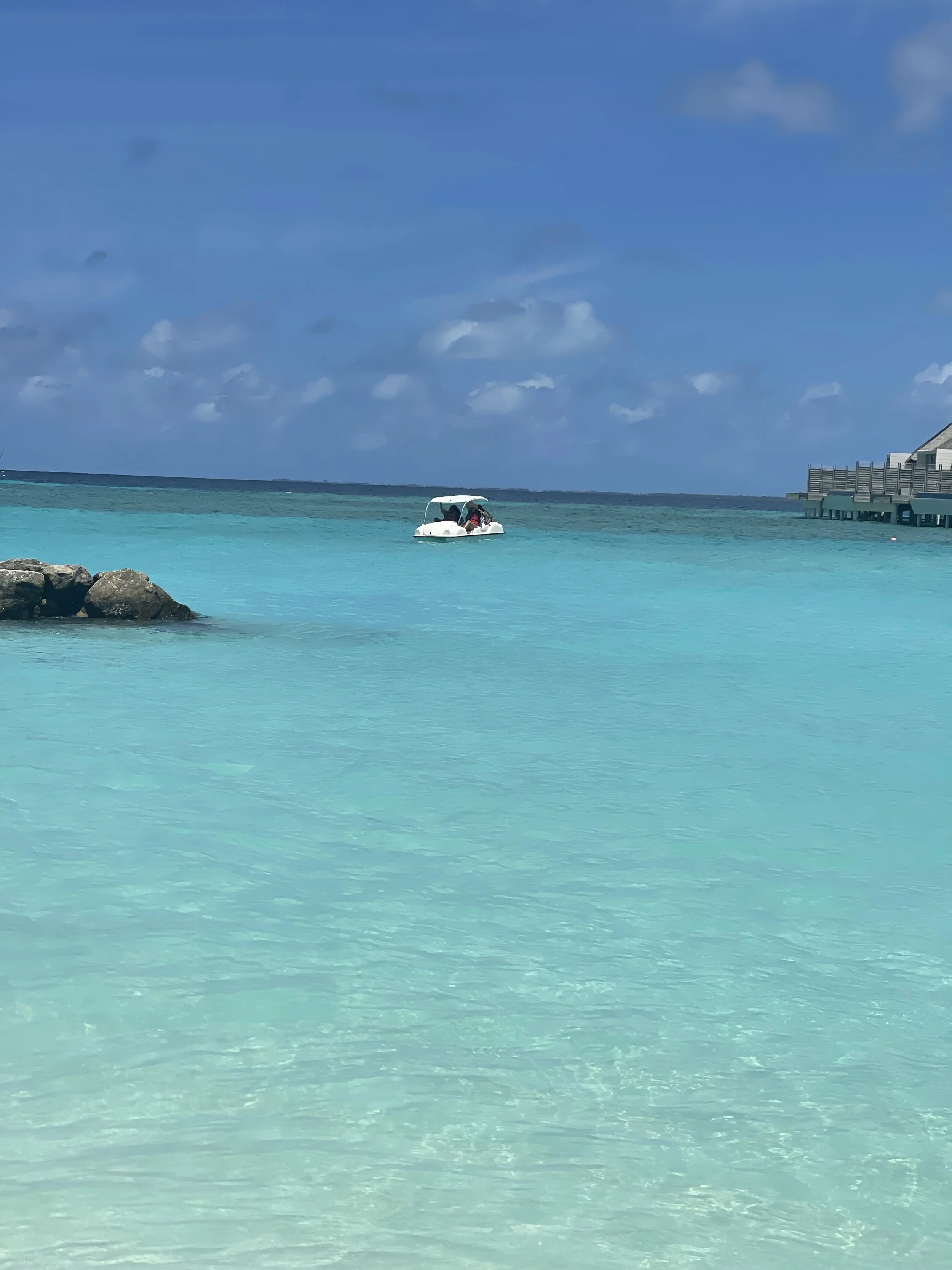 IMG_4436.jpg