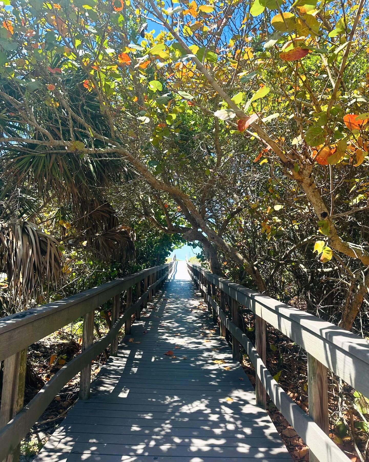 All great paths lead to the beach&hellip;☀️#areyourockinyet

#floridalife #floridavacation #floridabeaches #footwear #lifestyleguide #ootd #shoes