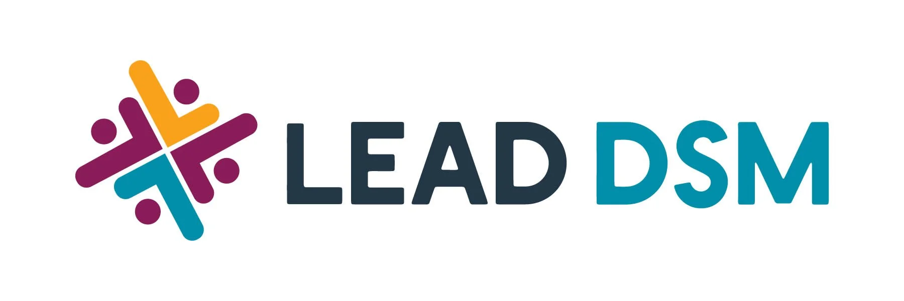 Lead DSM logo.jpg