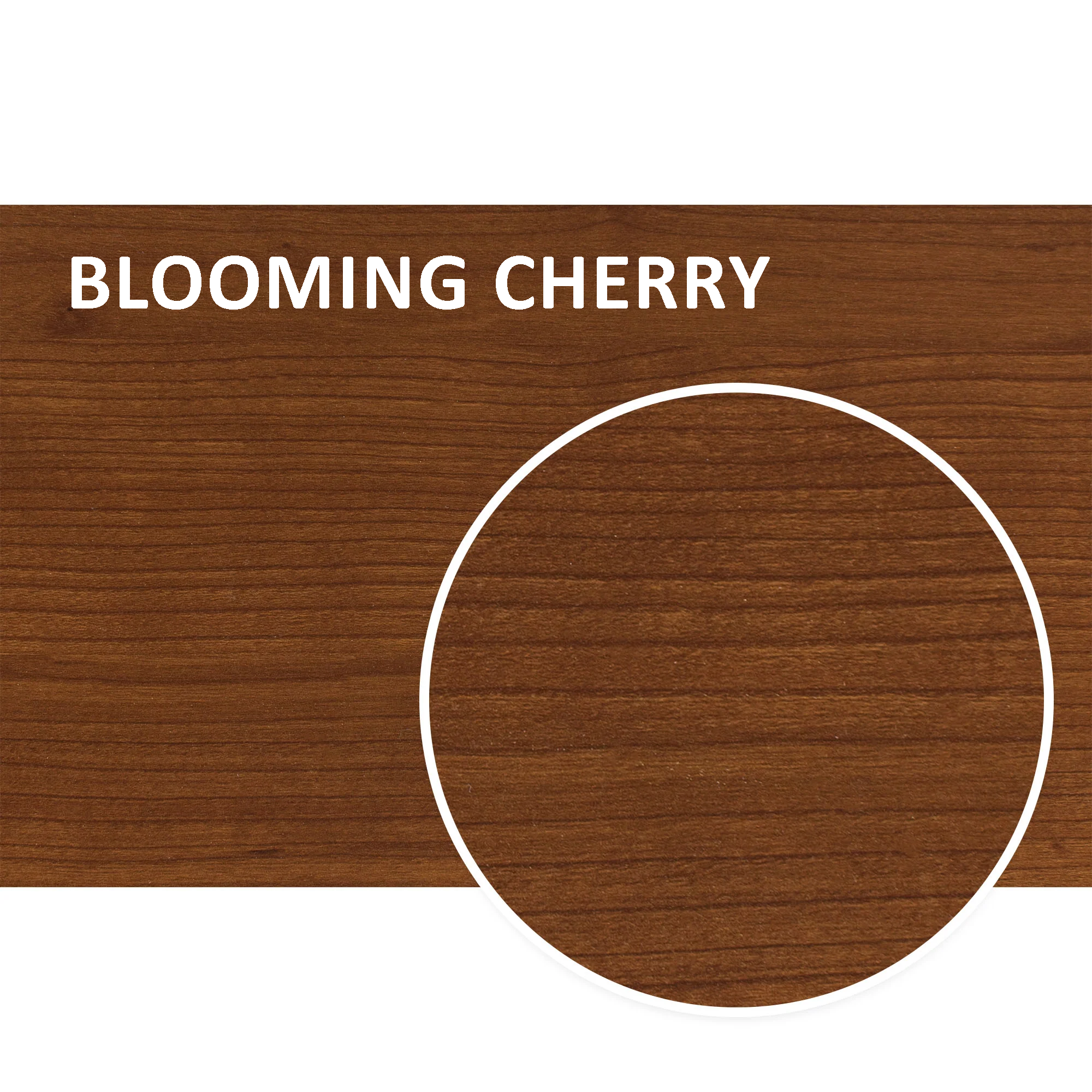 Blooming-Cherry-ZOOM_2000x2000.png