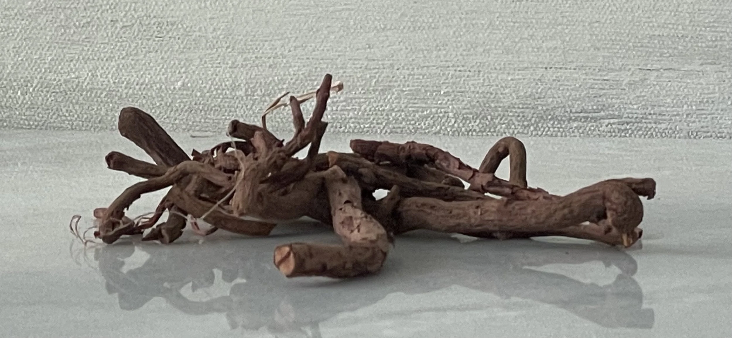 Motherwort Root