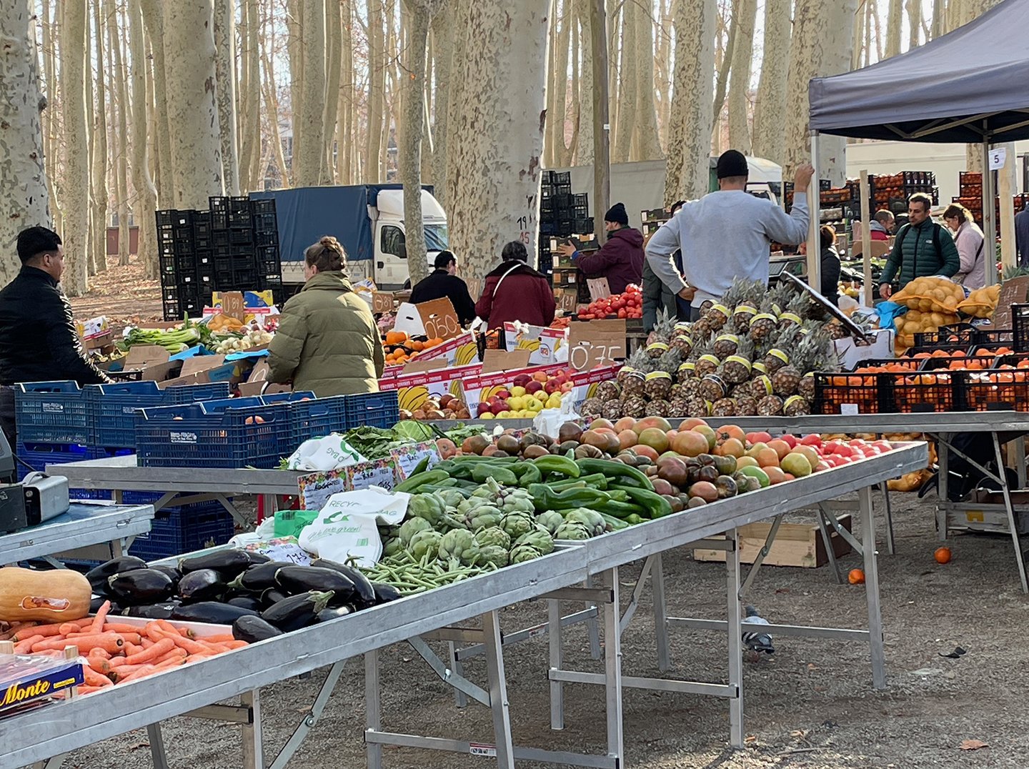 Beautiful veg and fruit displays