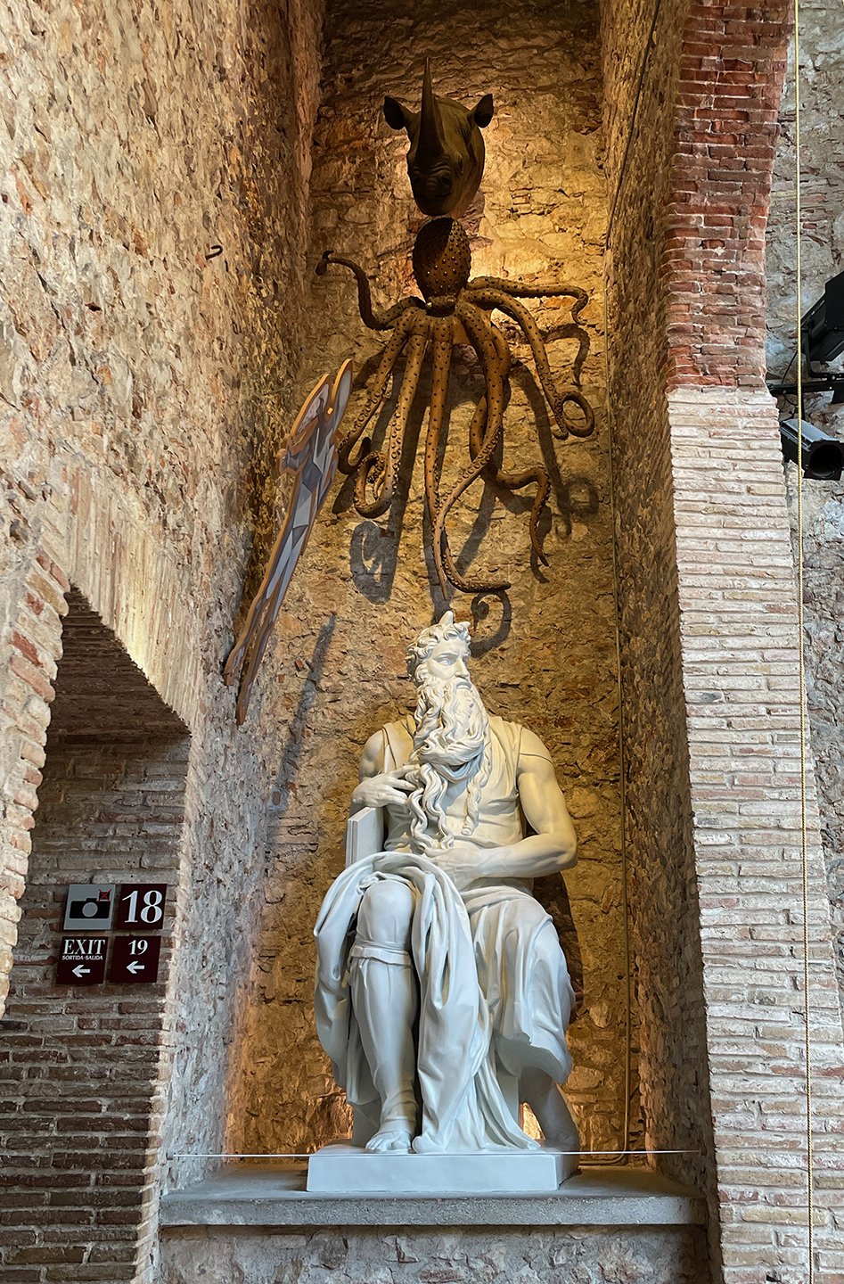 Octopus and Socrates