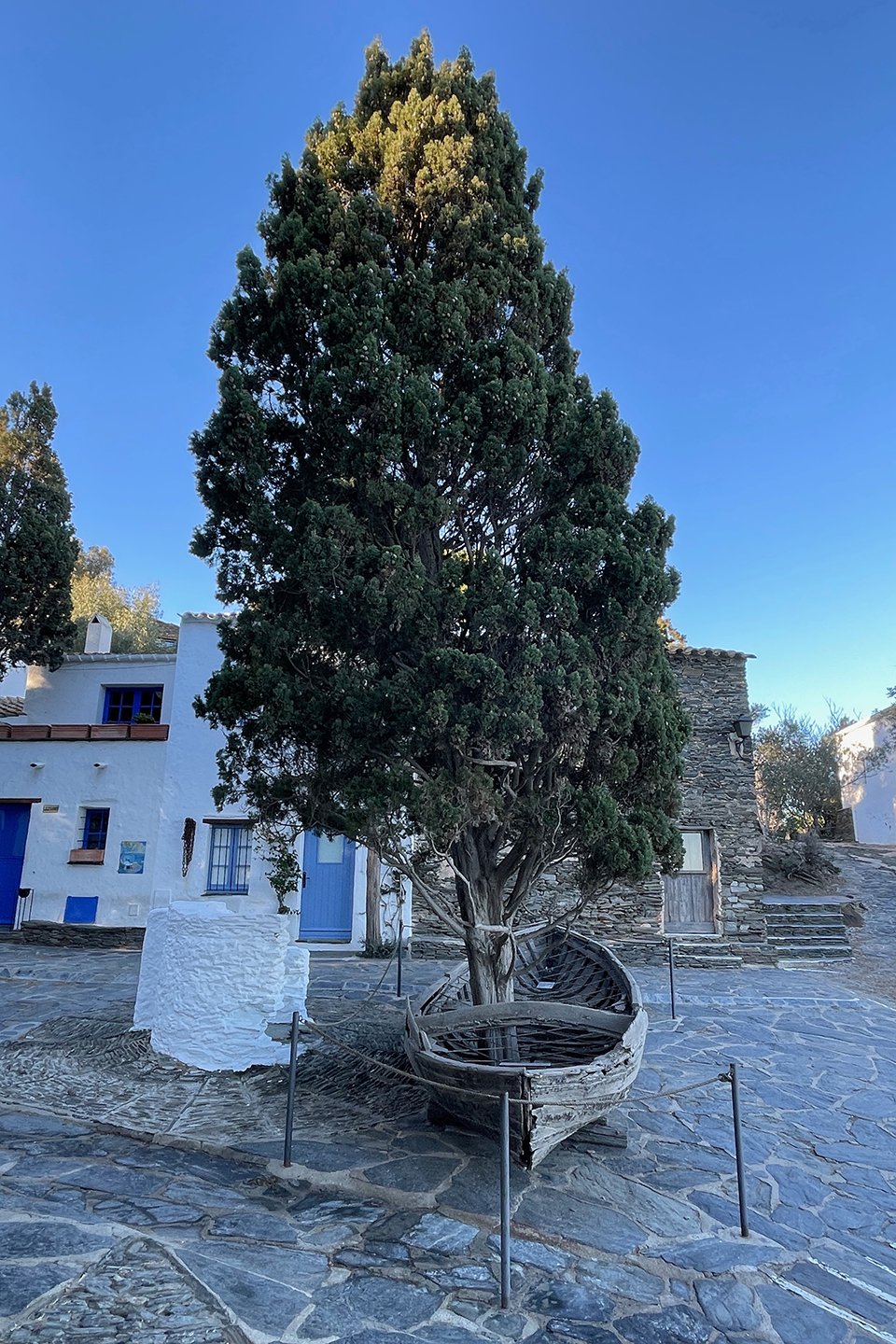 A tree grows through it