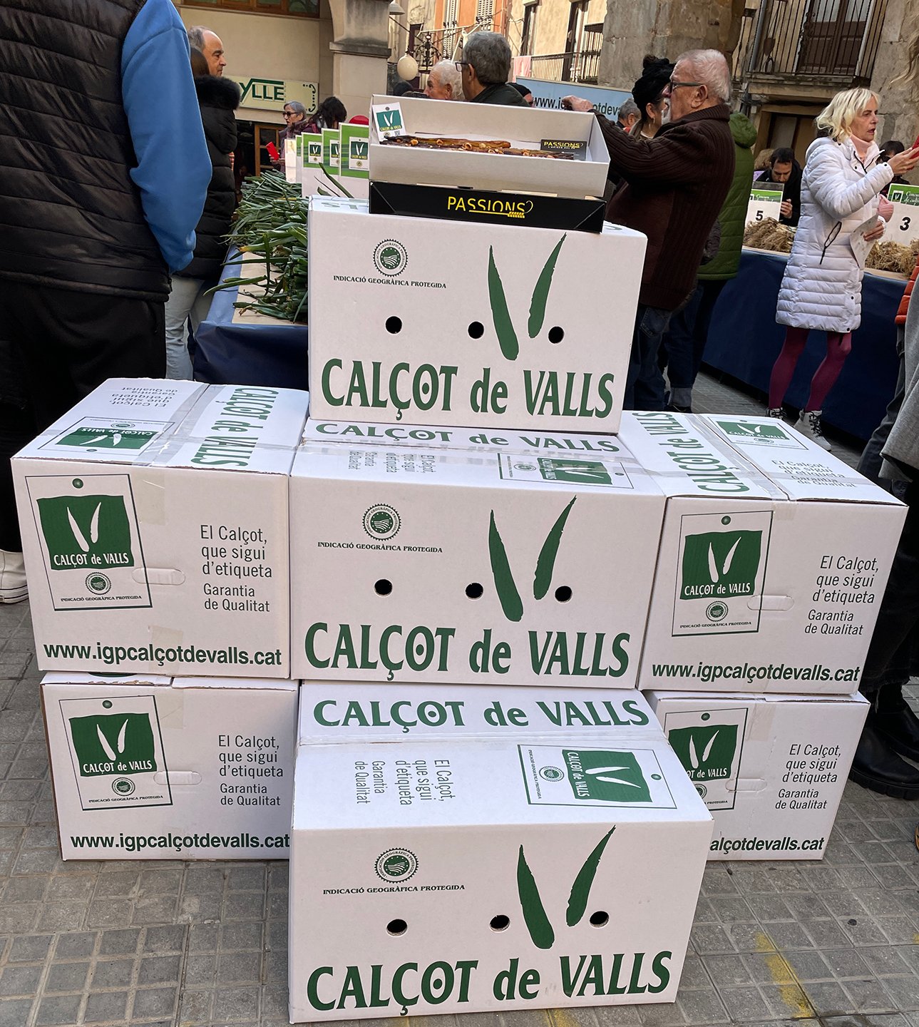 Boxes of calçots for the judging