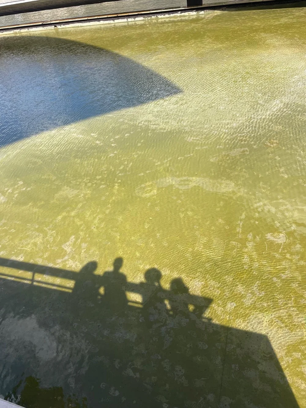 Robert captured this fun silhouette.