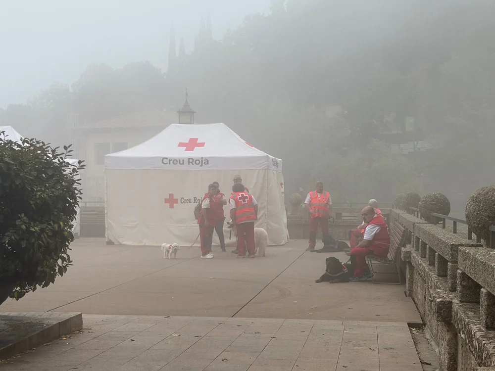 The Creu Roja, or Red Cross had some rescue dogs for visitors to interact with.