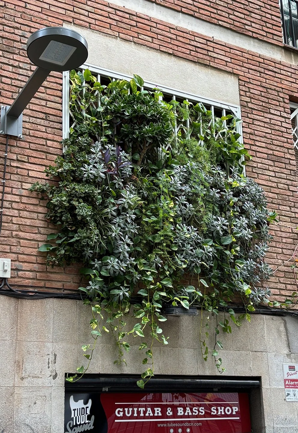 Growing window caught my eye.