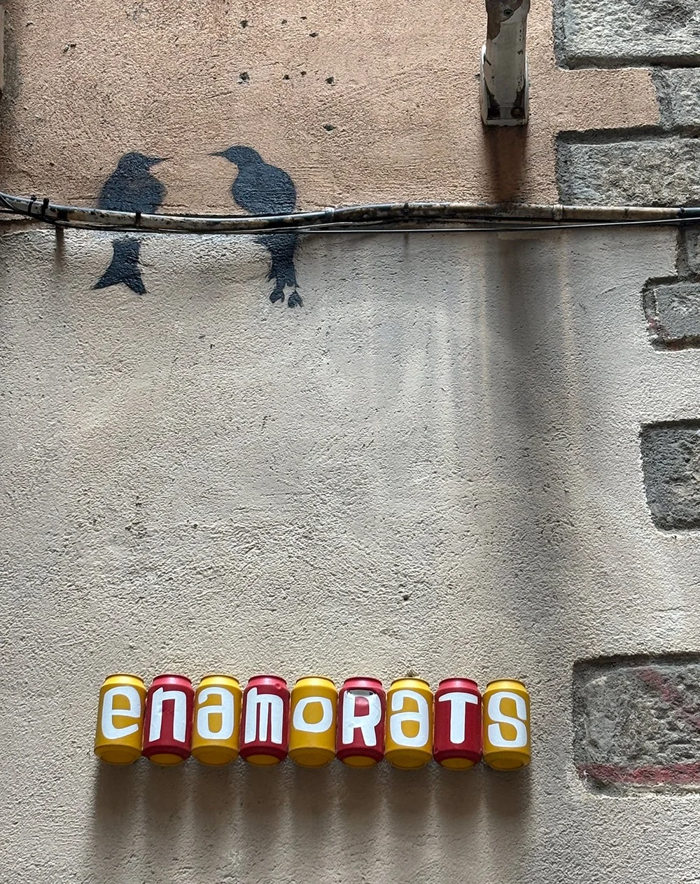 Enamorats = Love Birds!