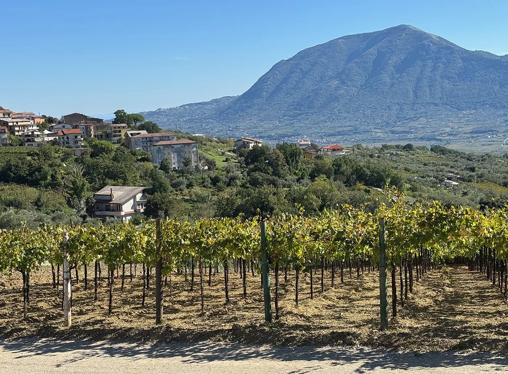 Beautiful and dramatic mountains rise in the Sannio valley.