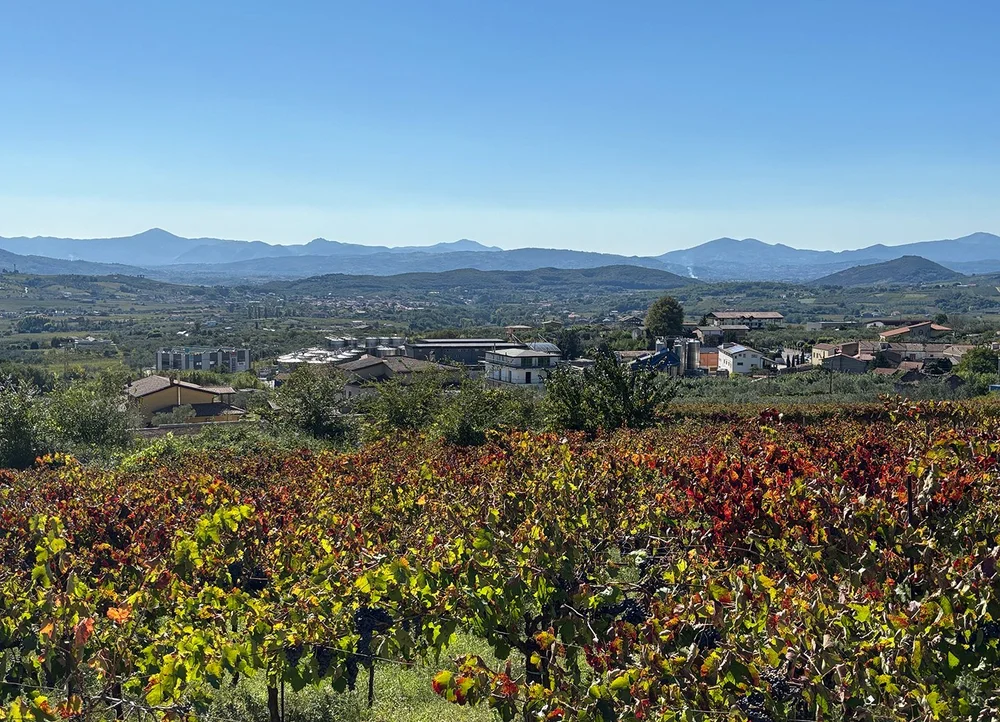 The Sannio wine region surrounds Guardia.