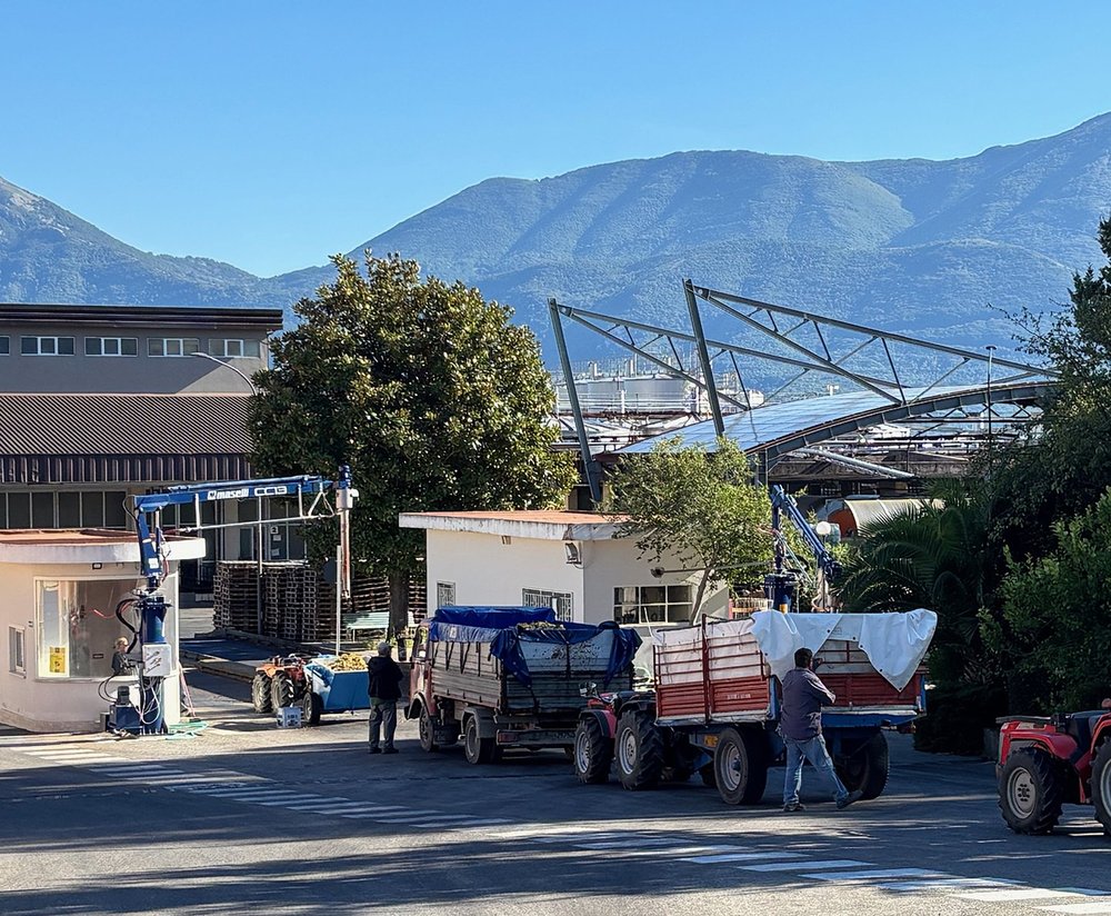 It was a busy day for the farmers.