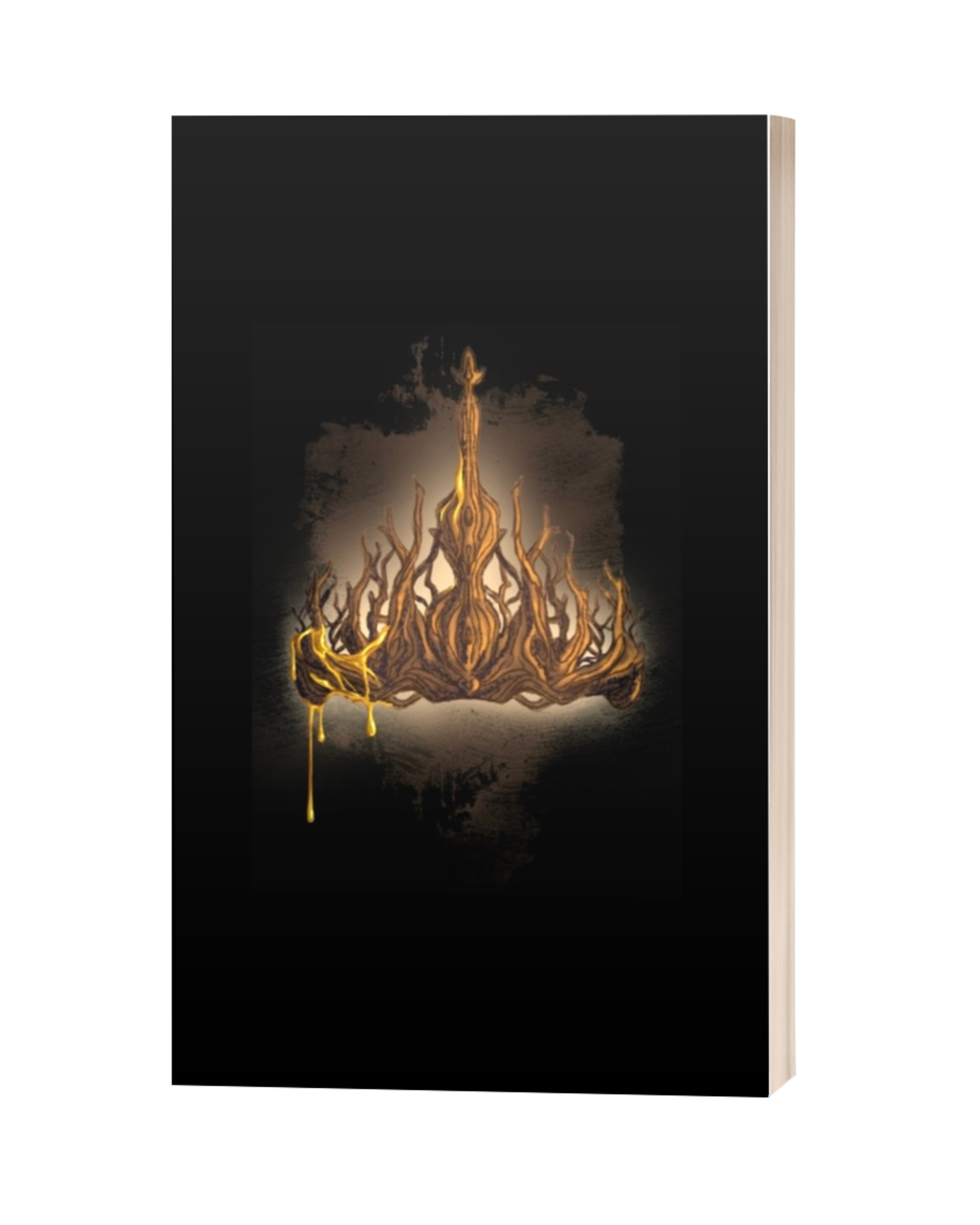 ONAB Case.png