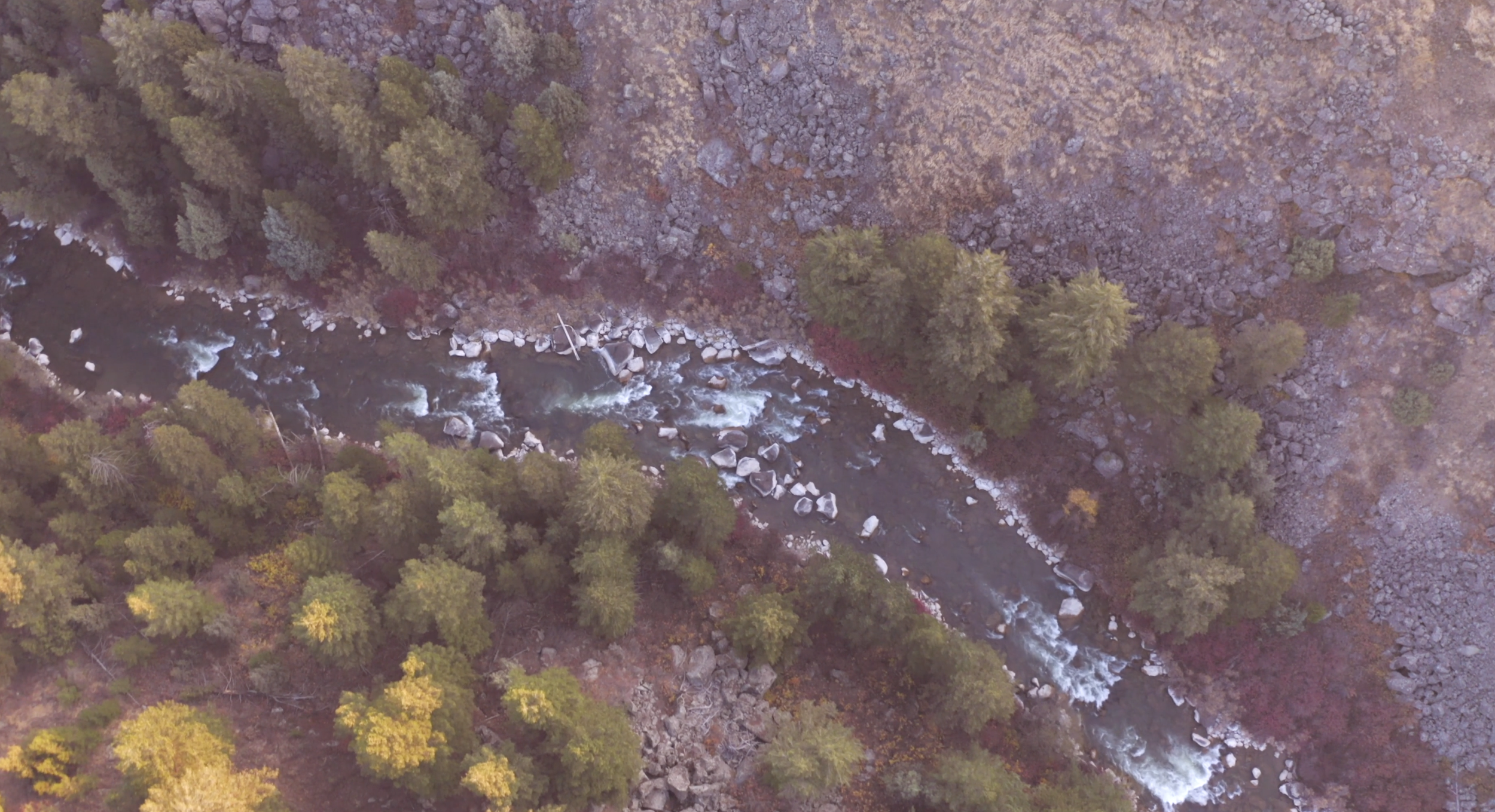 Screenshot 2024-01-12 at 10.16.46 AM.png