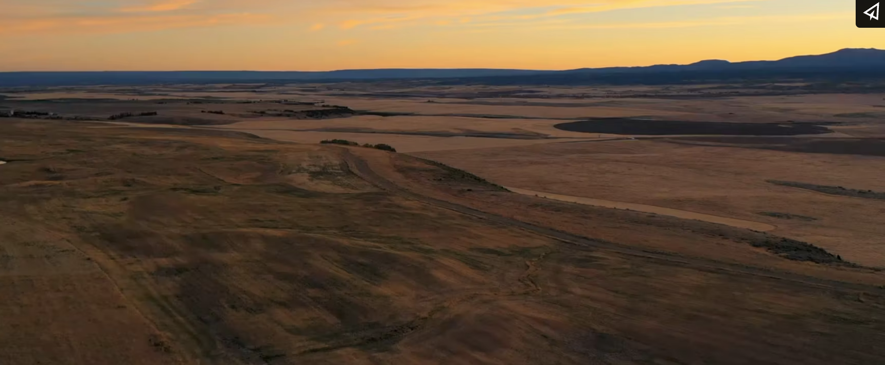 Screenshot 2024-01-12 at 10.13.36 AM.png