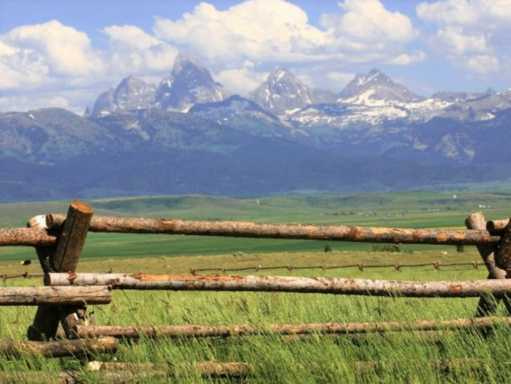 Screenshot 2024-01-12 at 10.20.53 AM.png